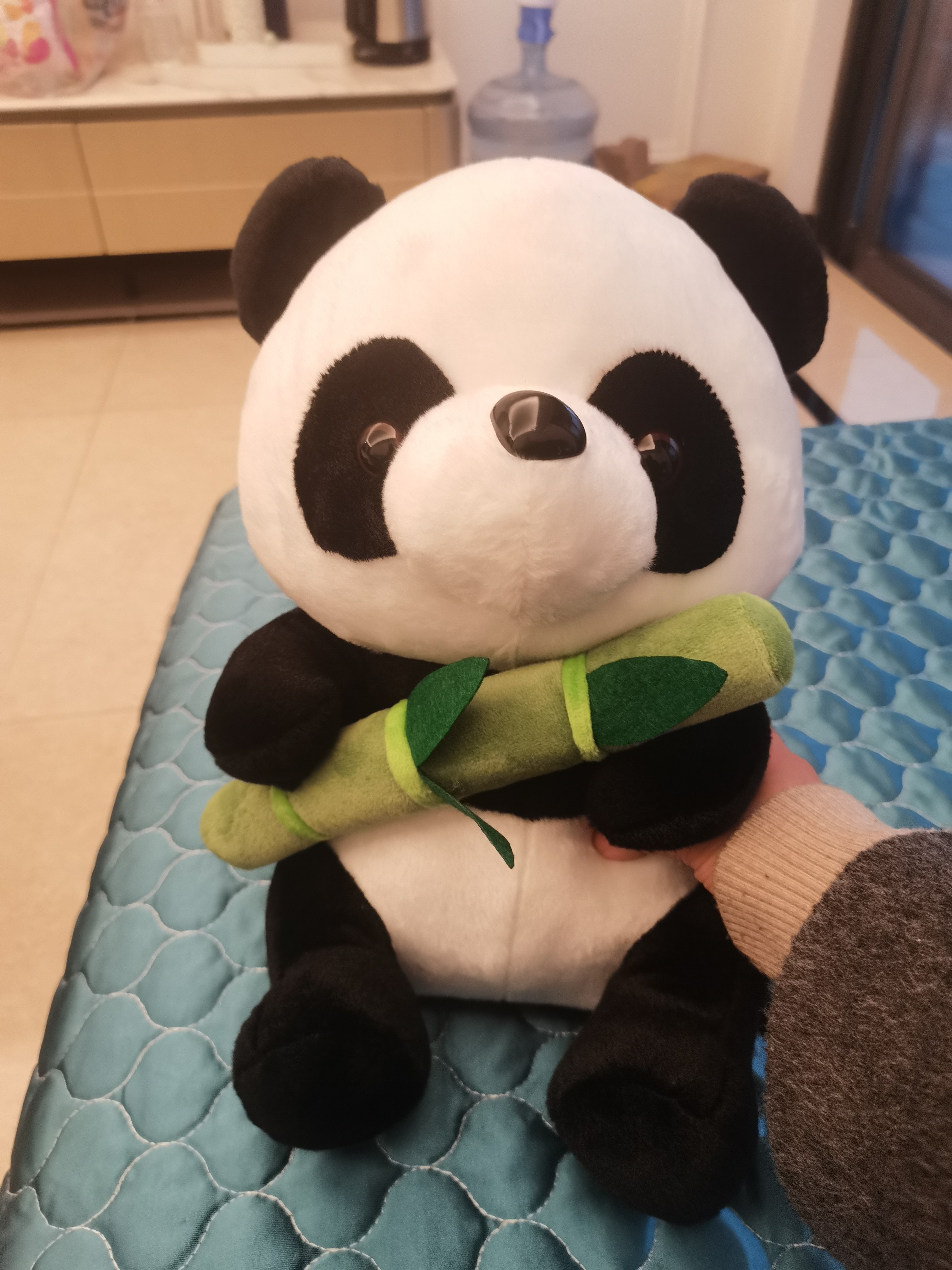 图片附件