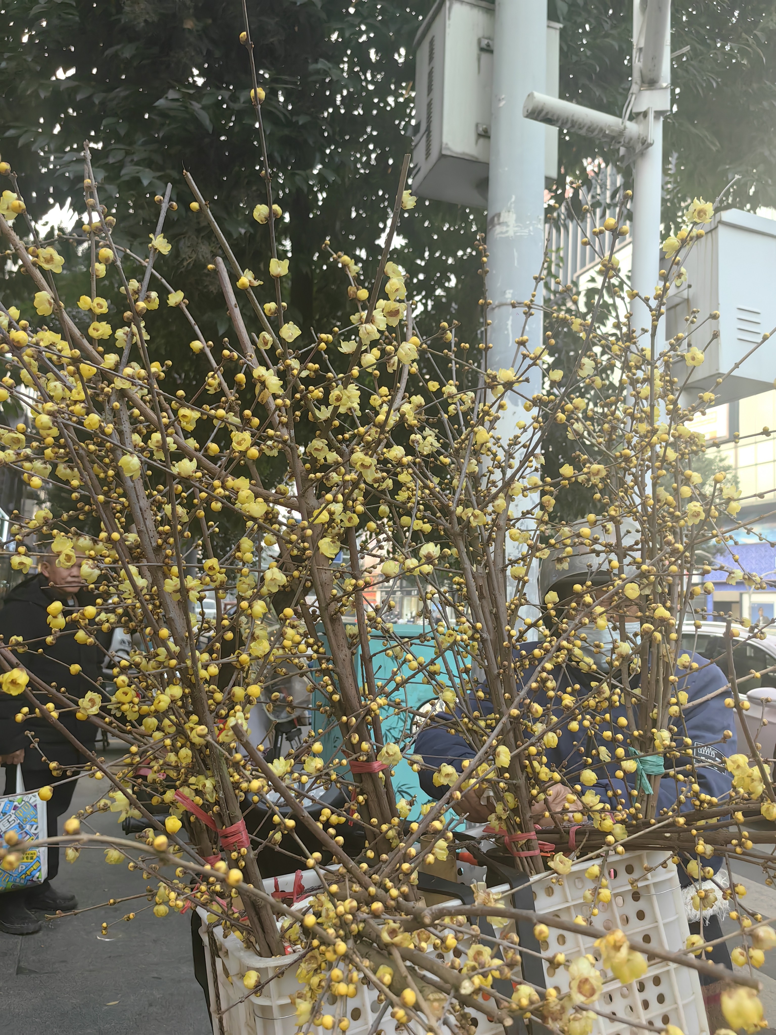 图片附件