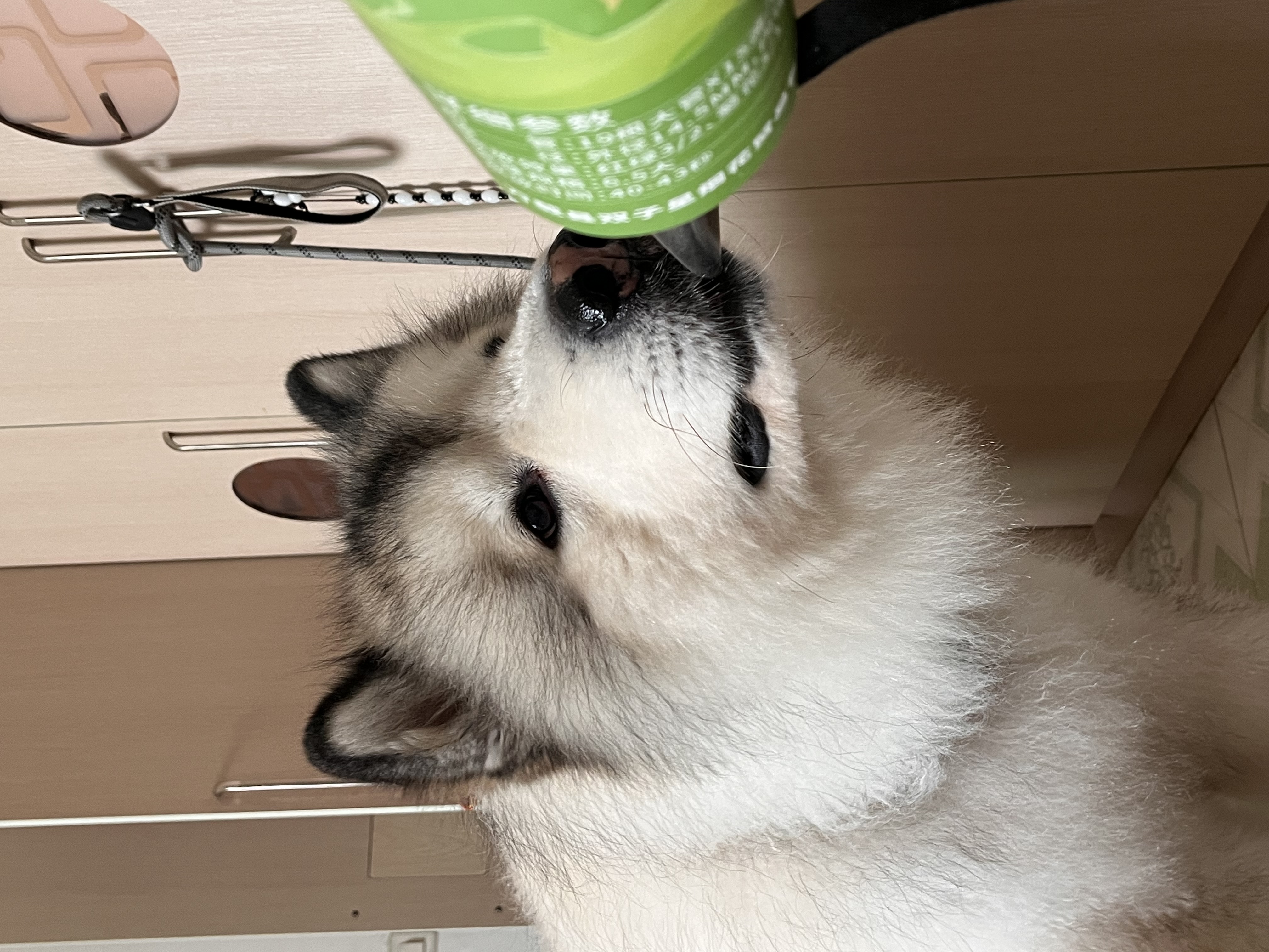 图片附件