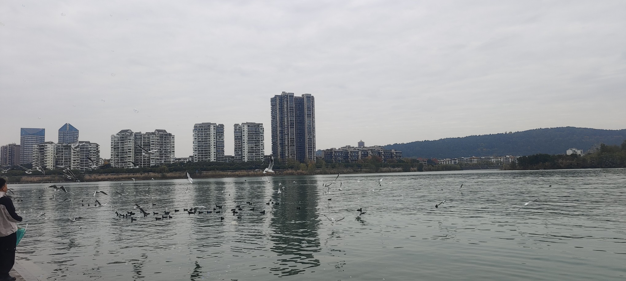 图片附件