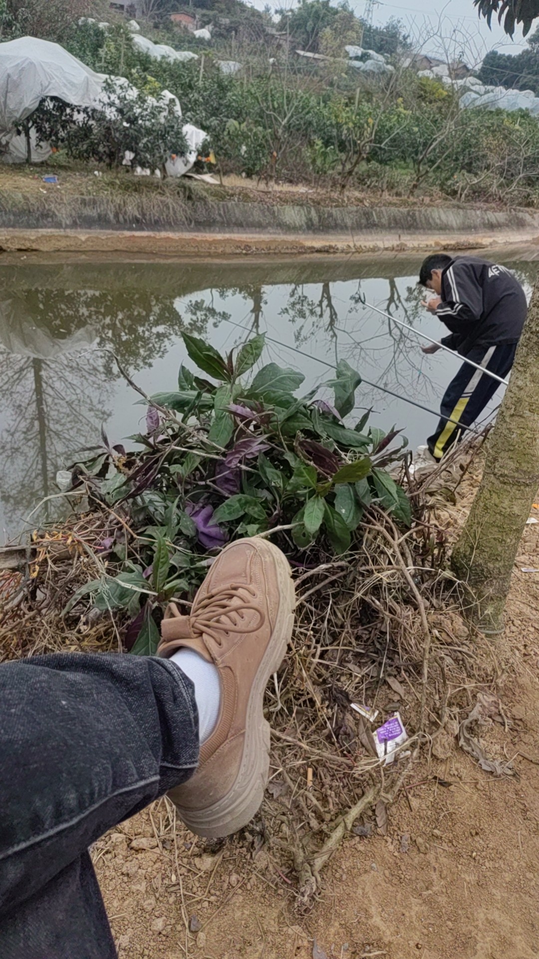 图片附件