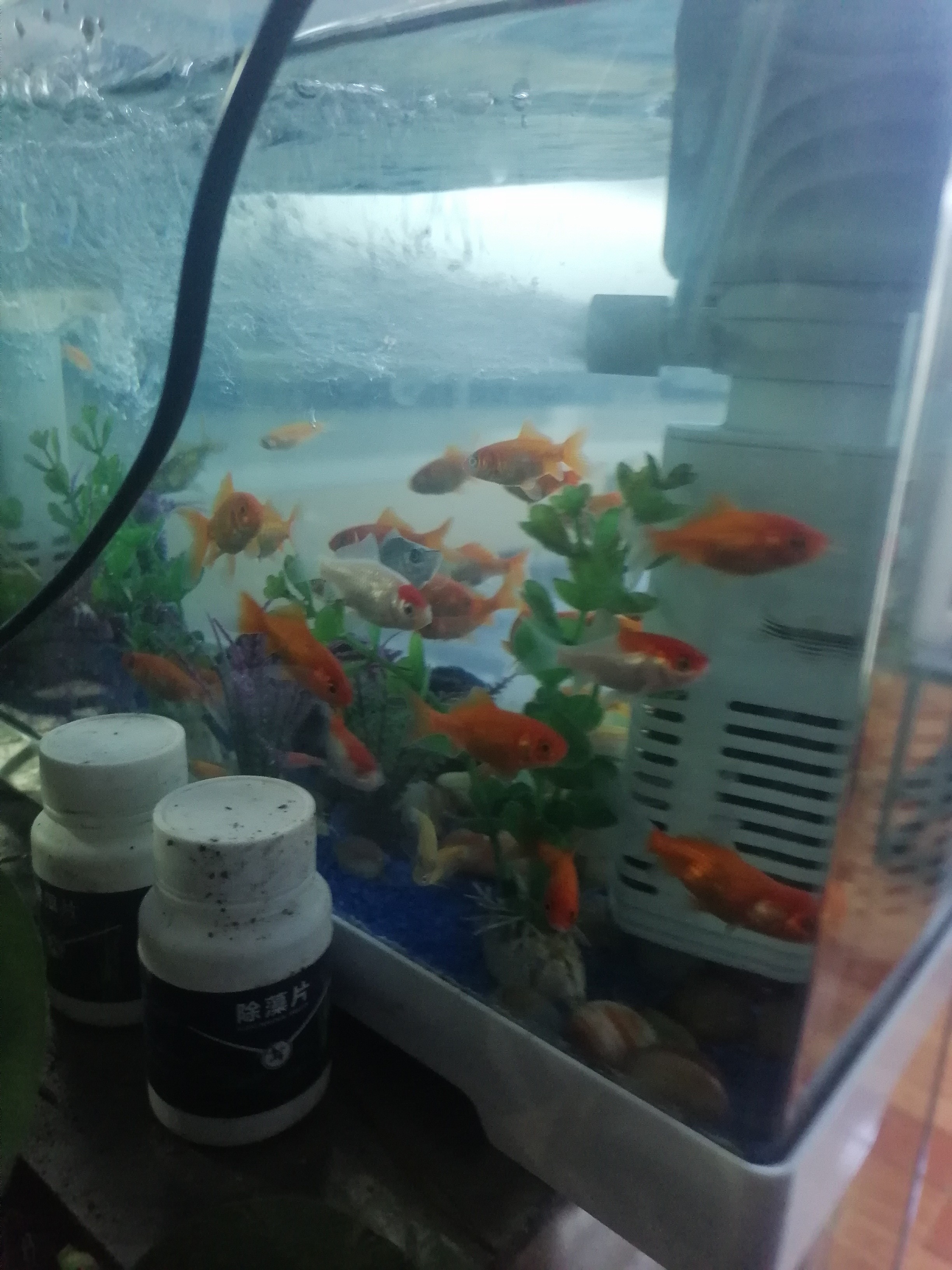 图片附件