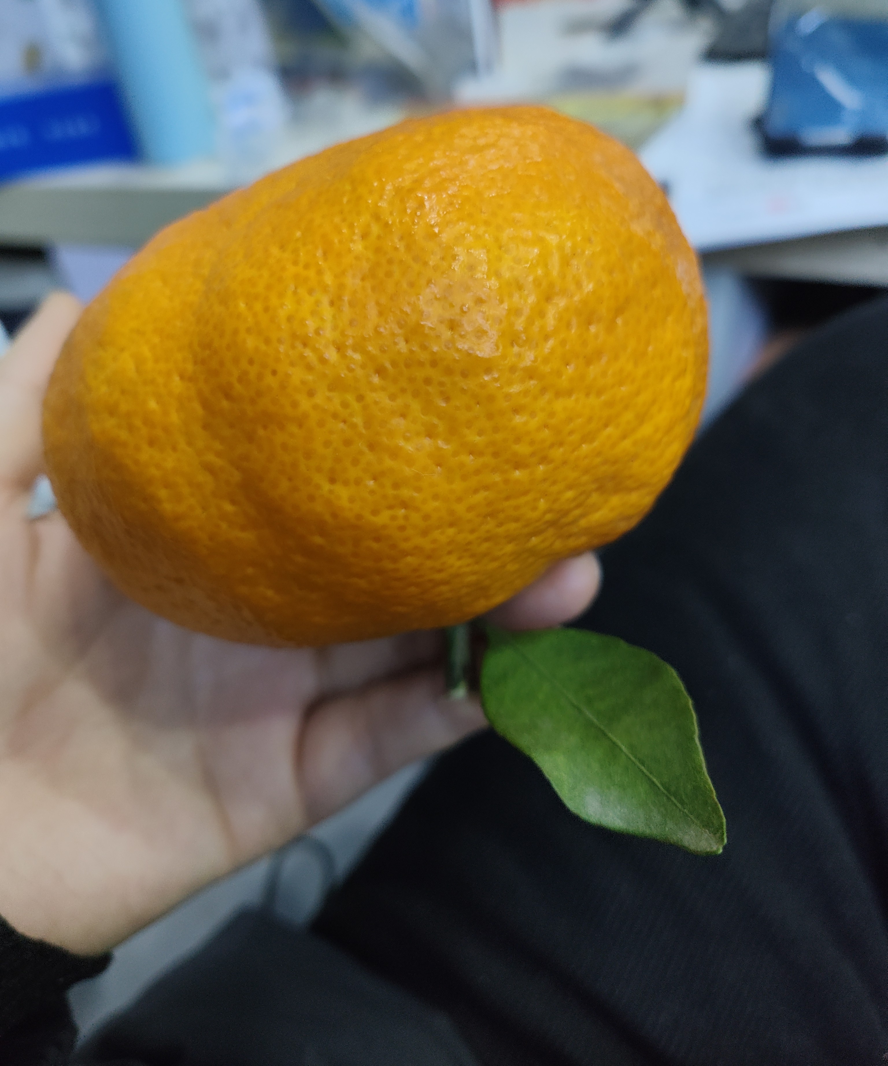 图片附件