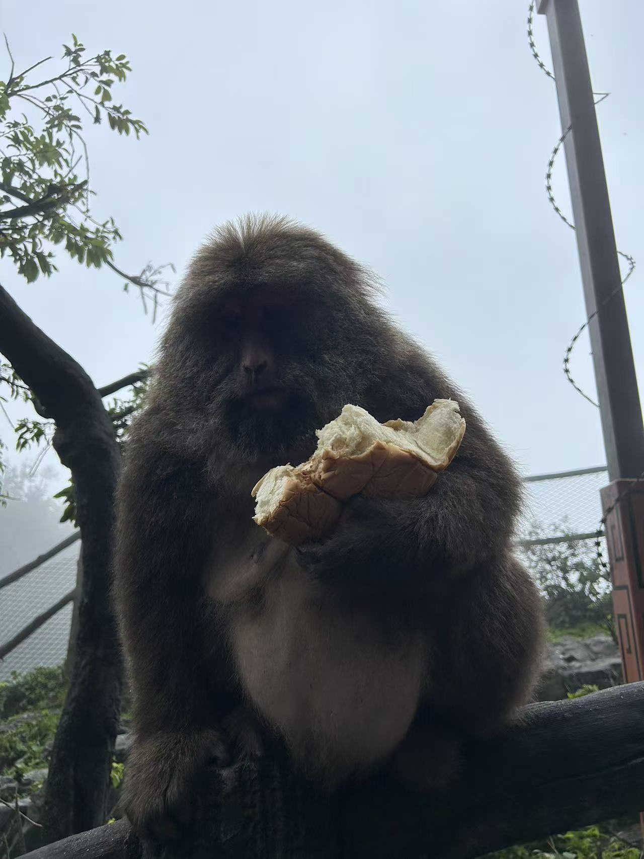 图片附件
