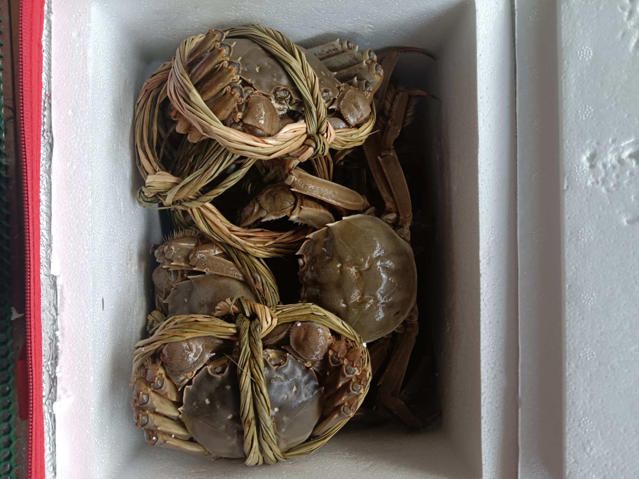 图片附件