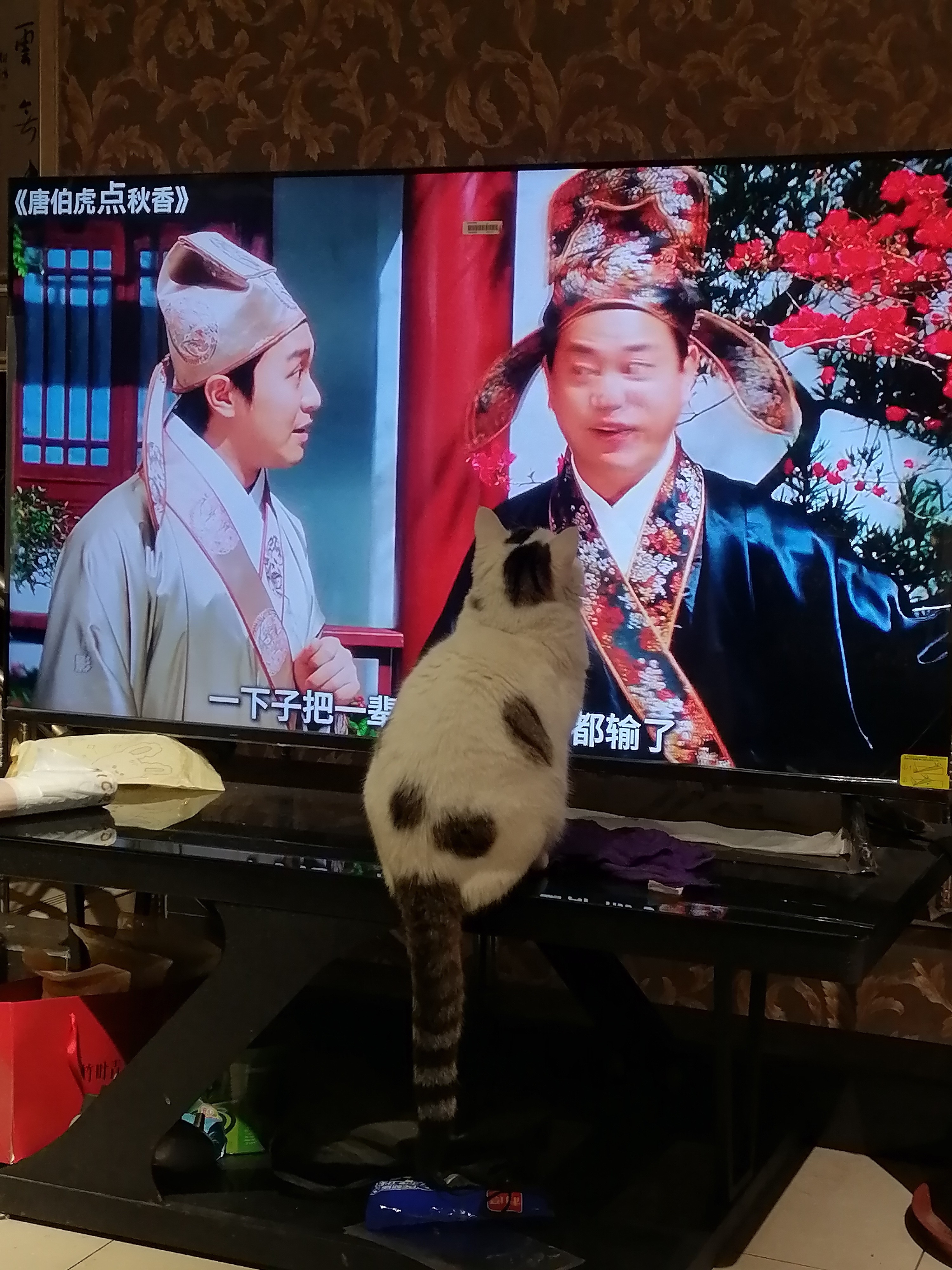 图片附件