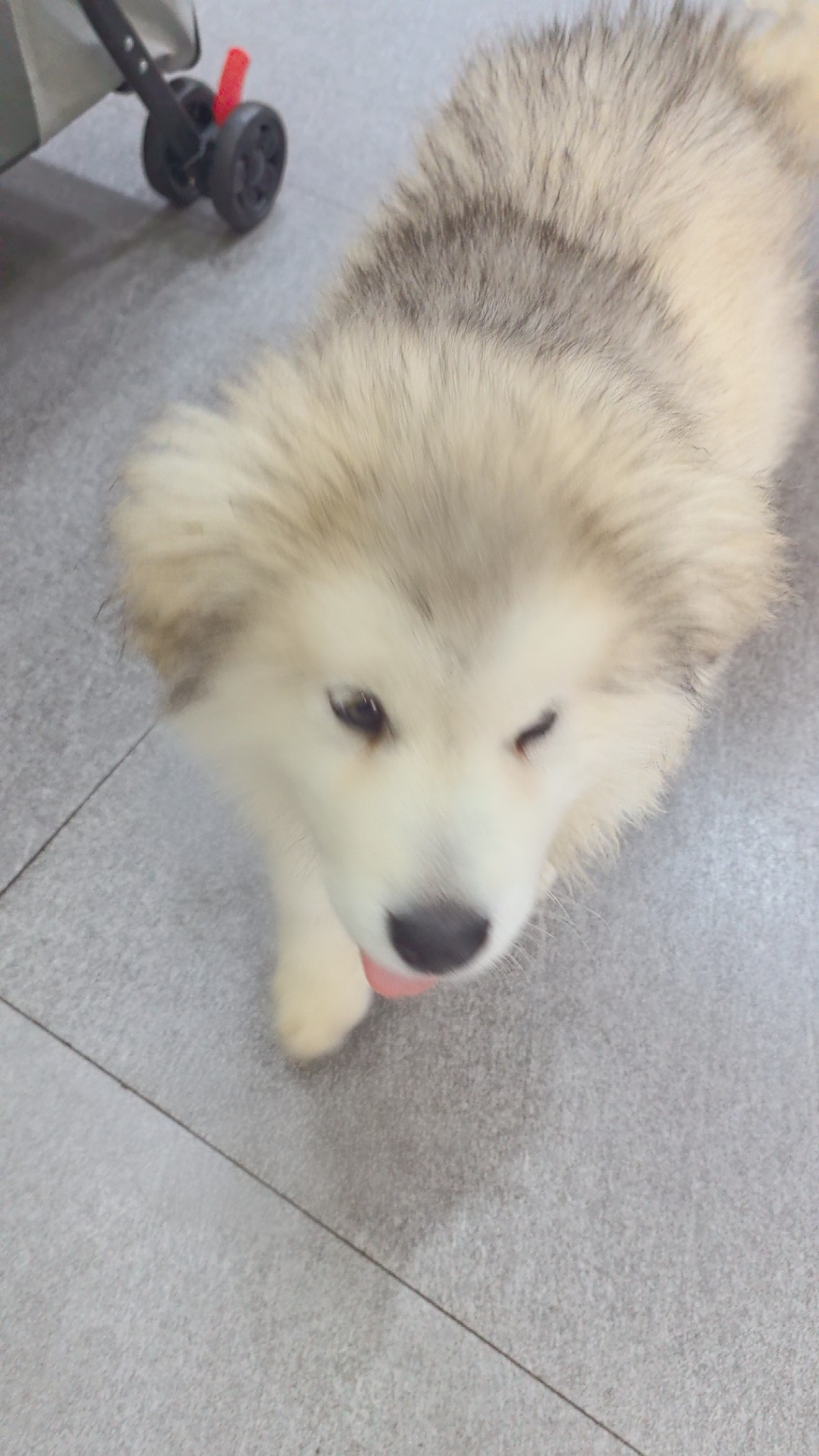 图片附件
