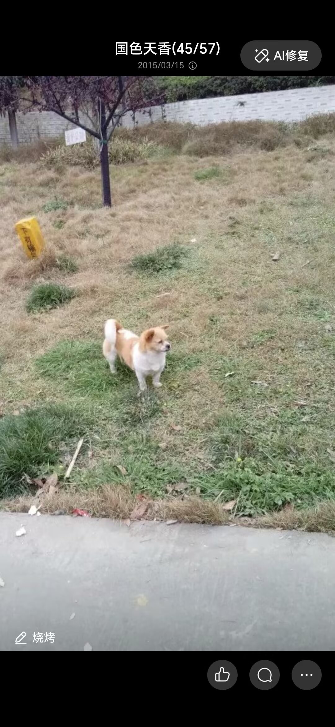 图片附件