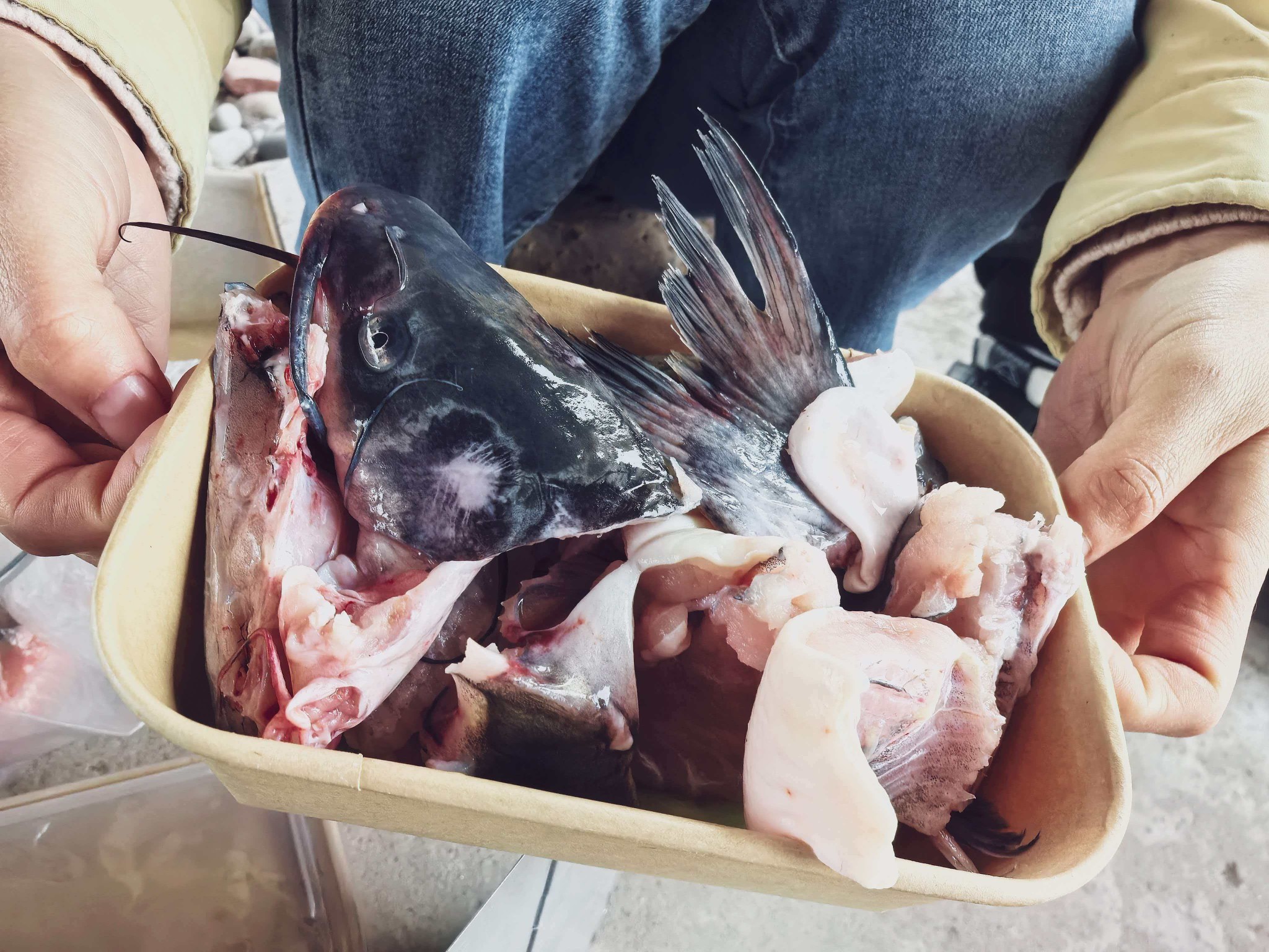 图片附件