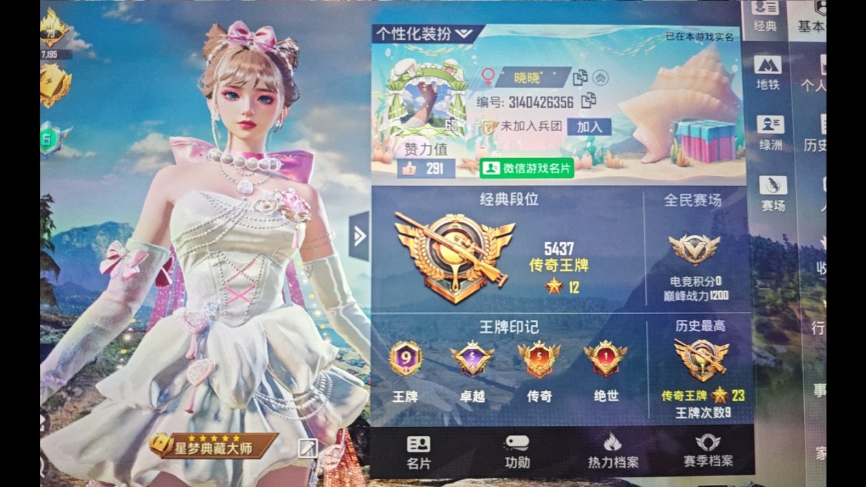 图片附件