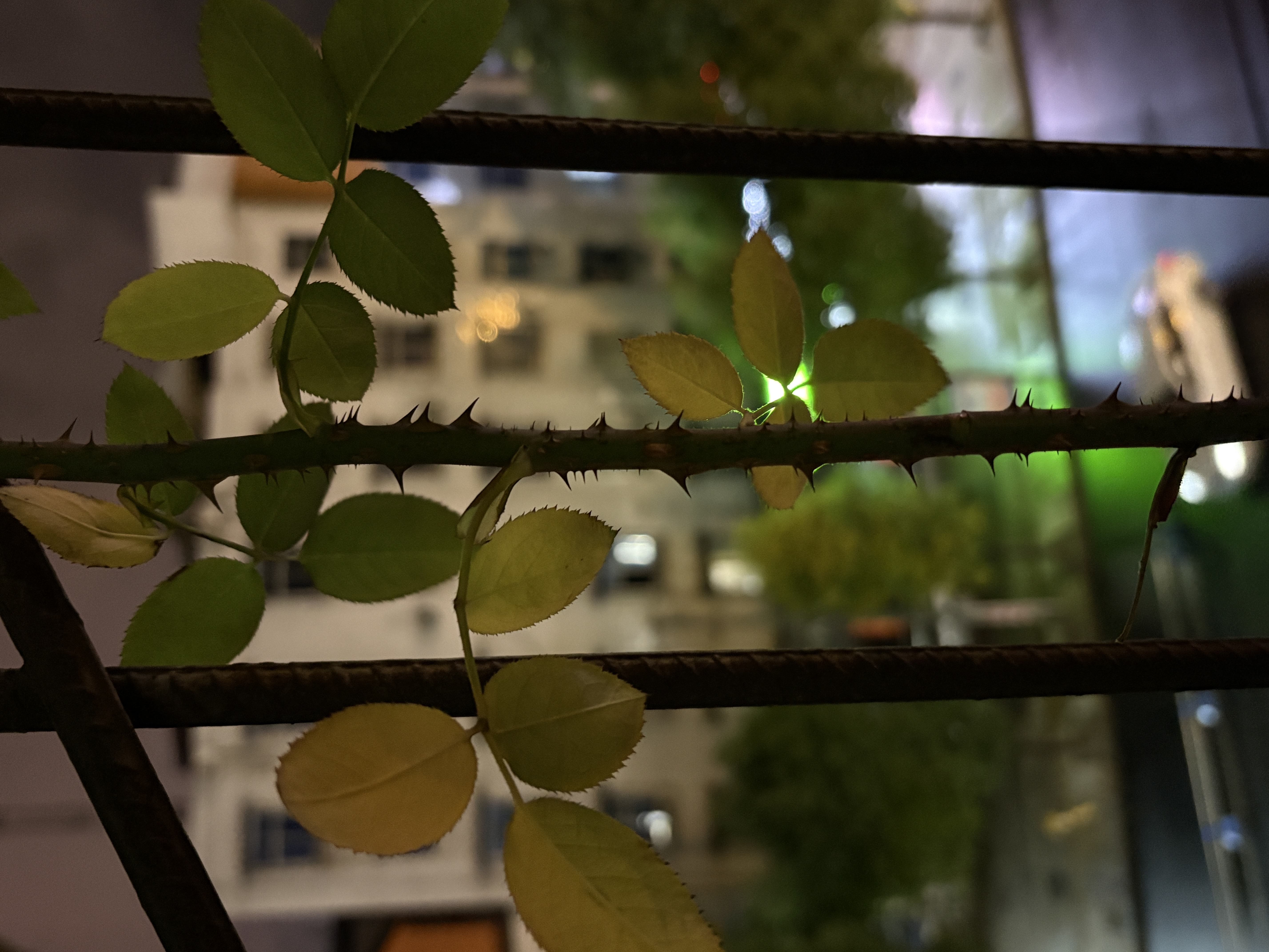 图片附件