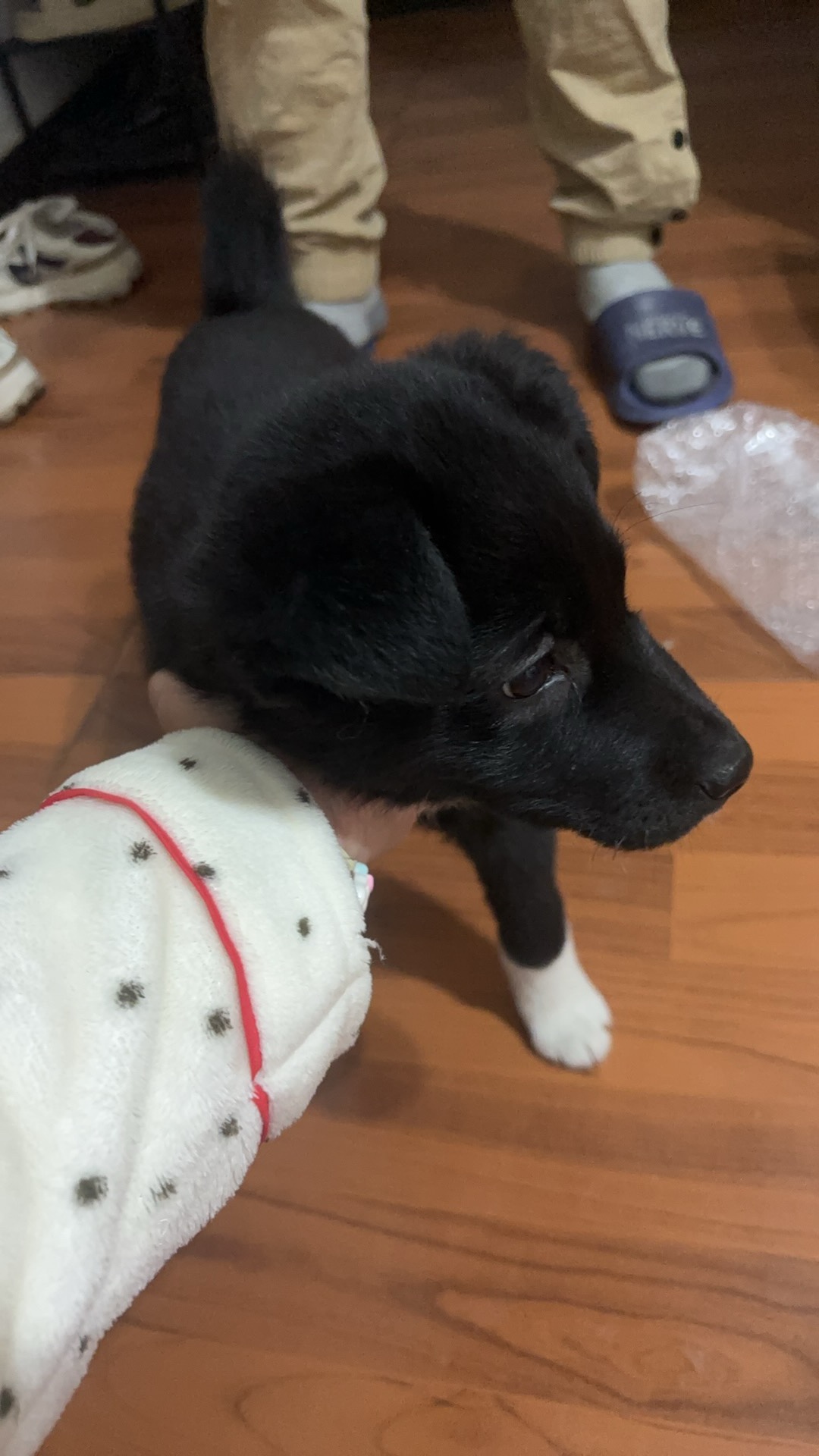 图片附件
