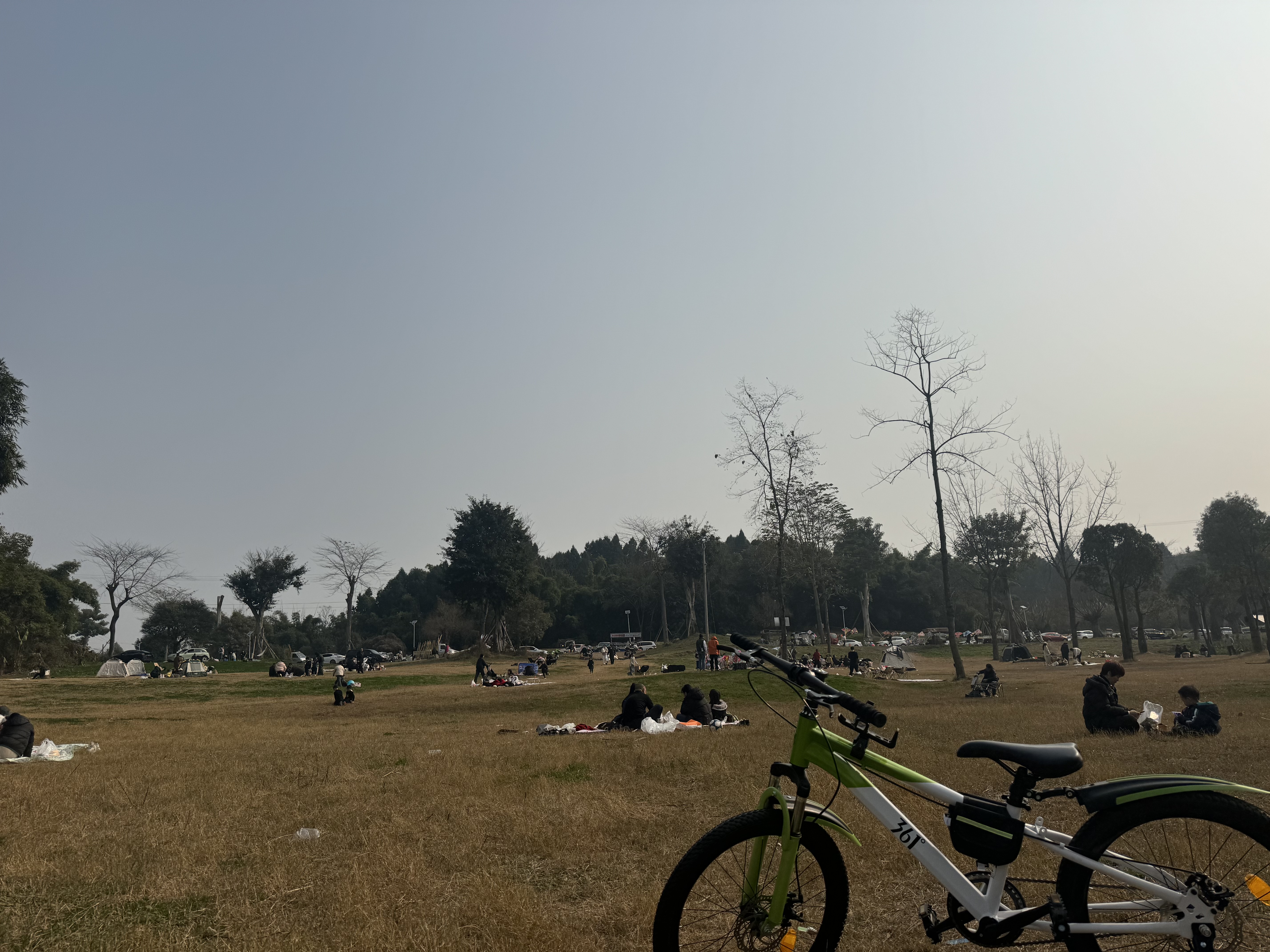 图片附件
