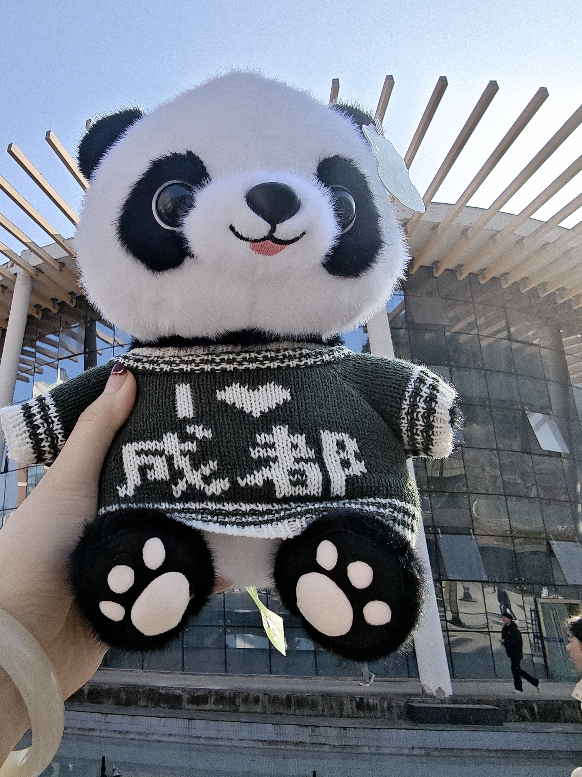 图片附件