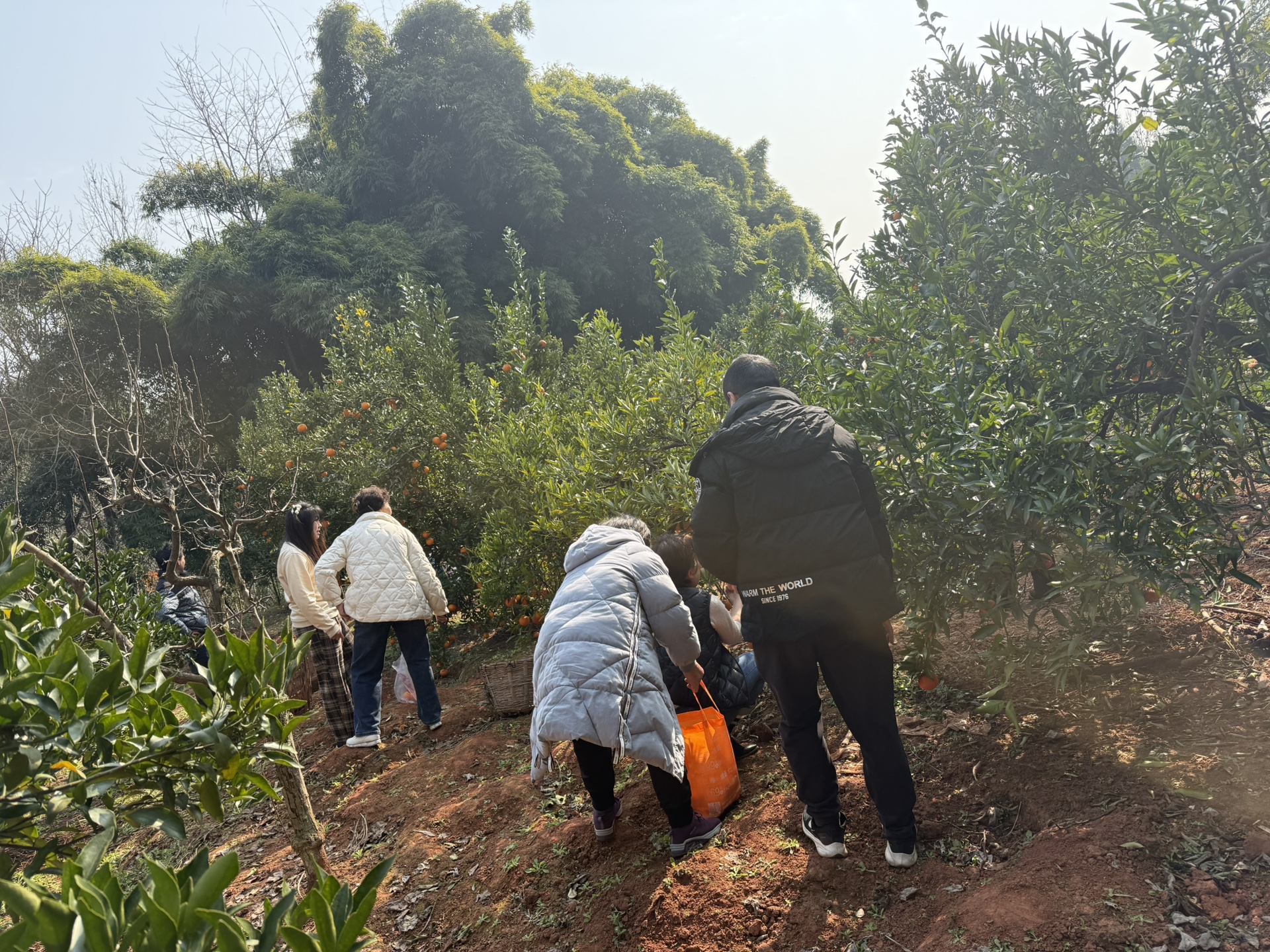 图片附件
