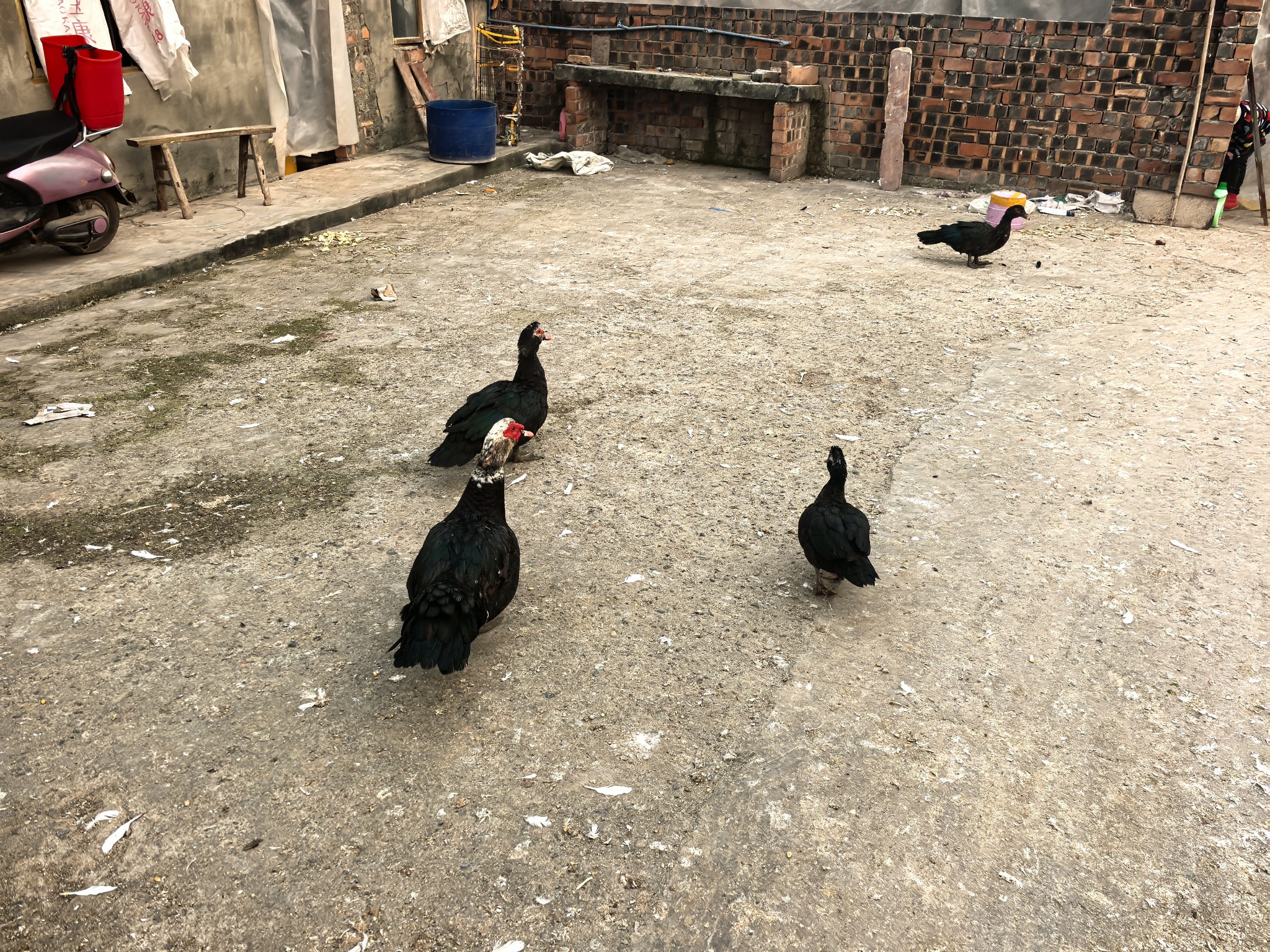 图片附件