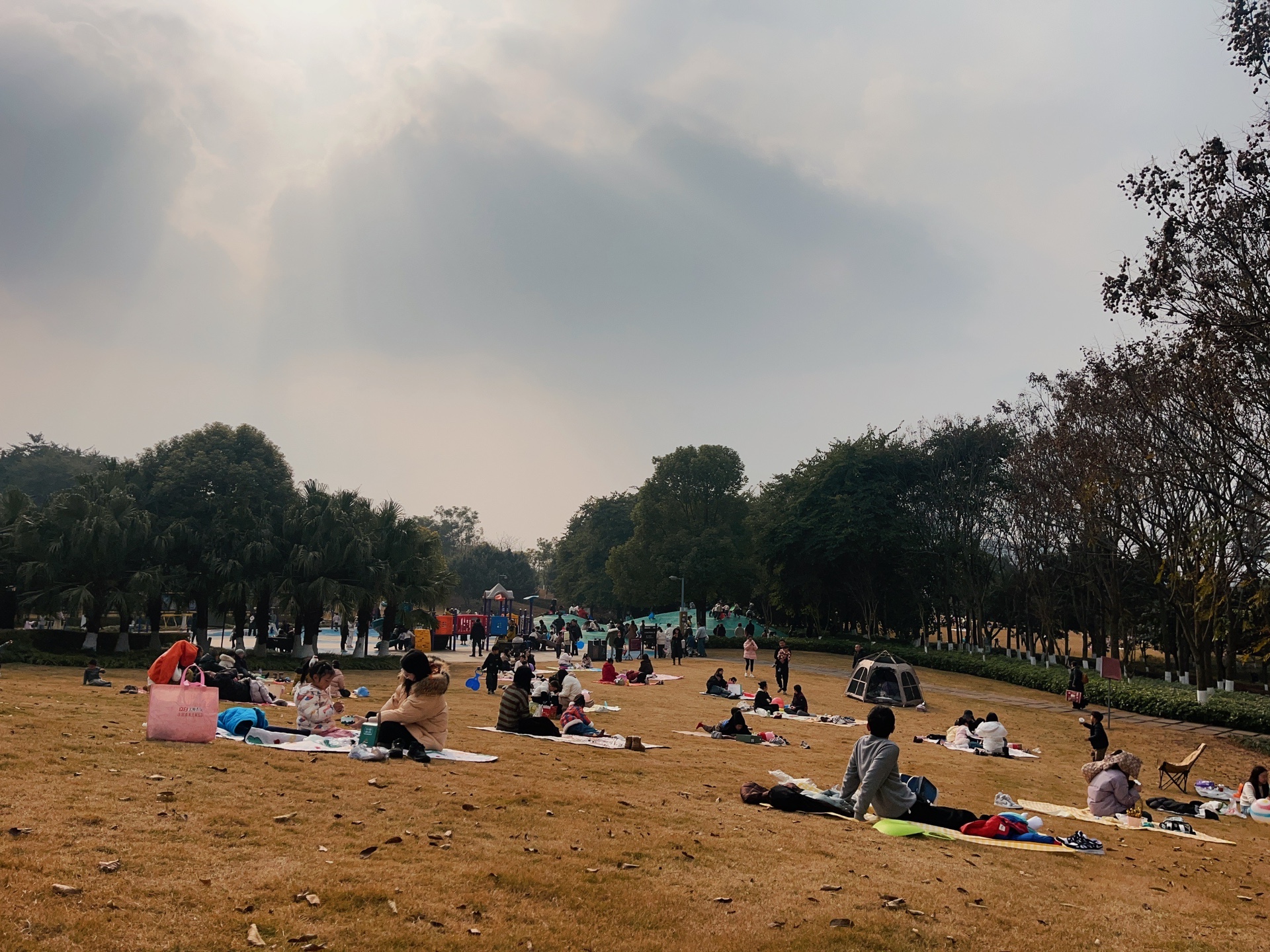 图片附件