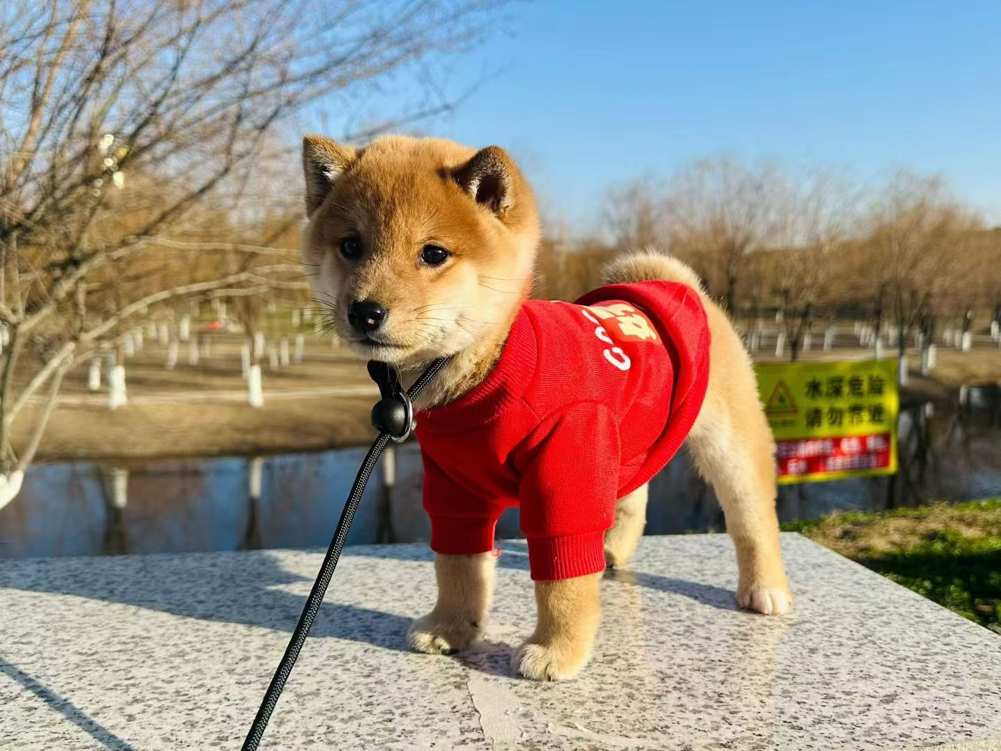 图片附件