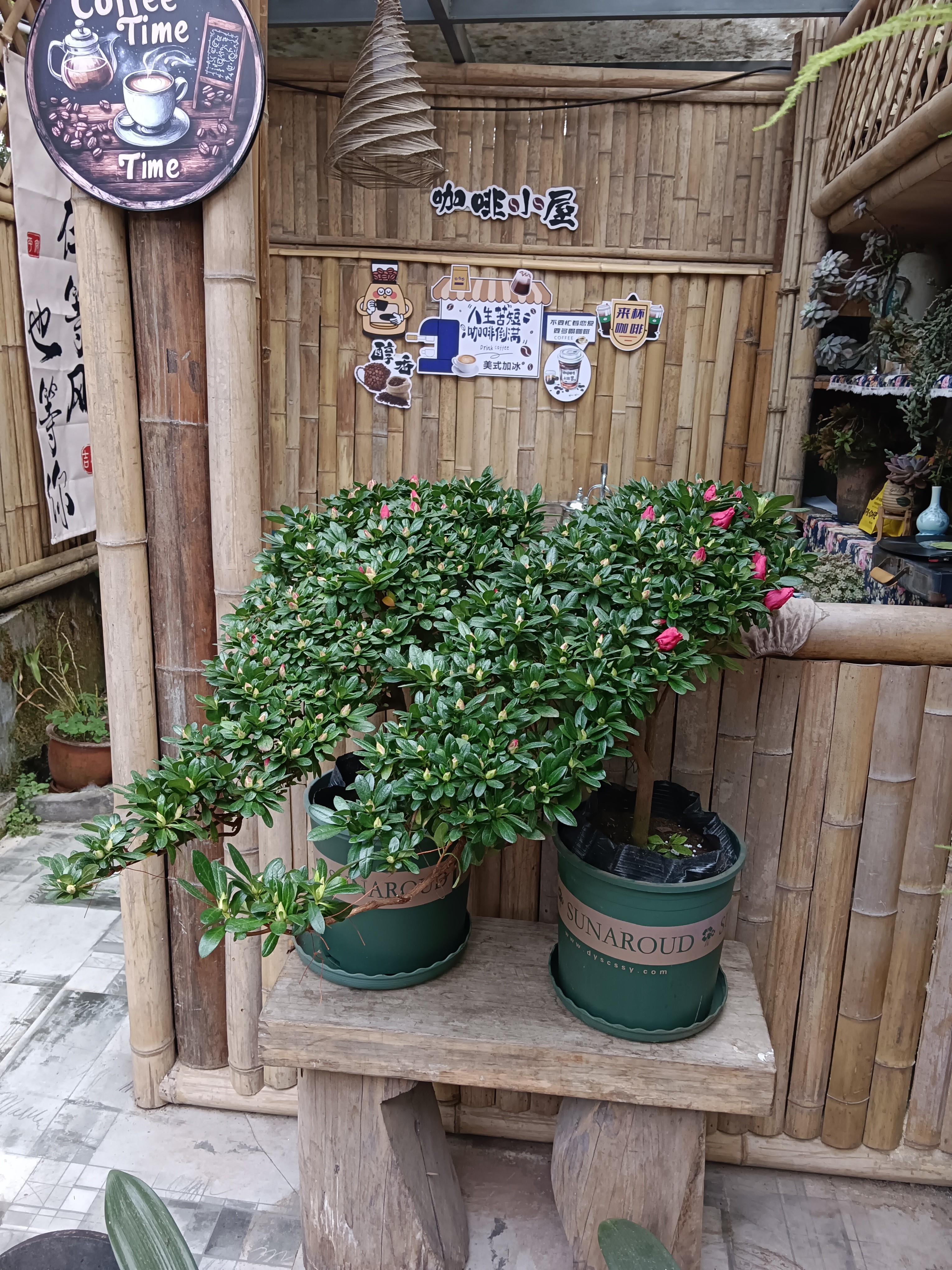 图片附件