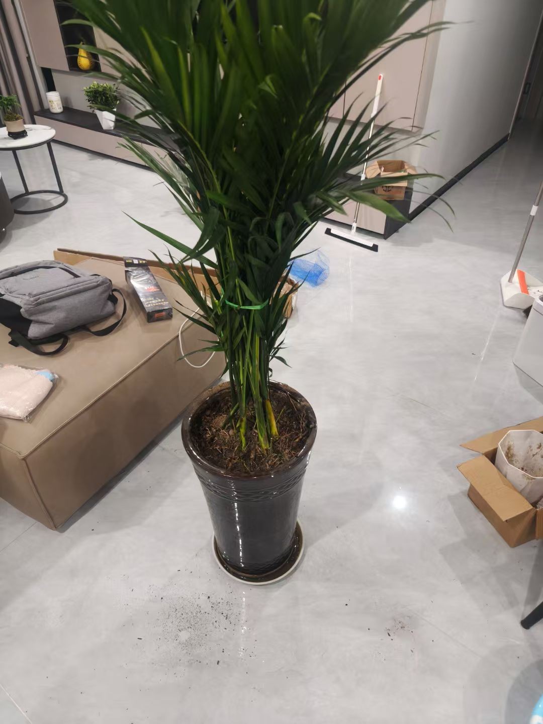 图片附件