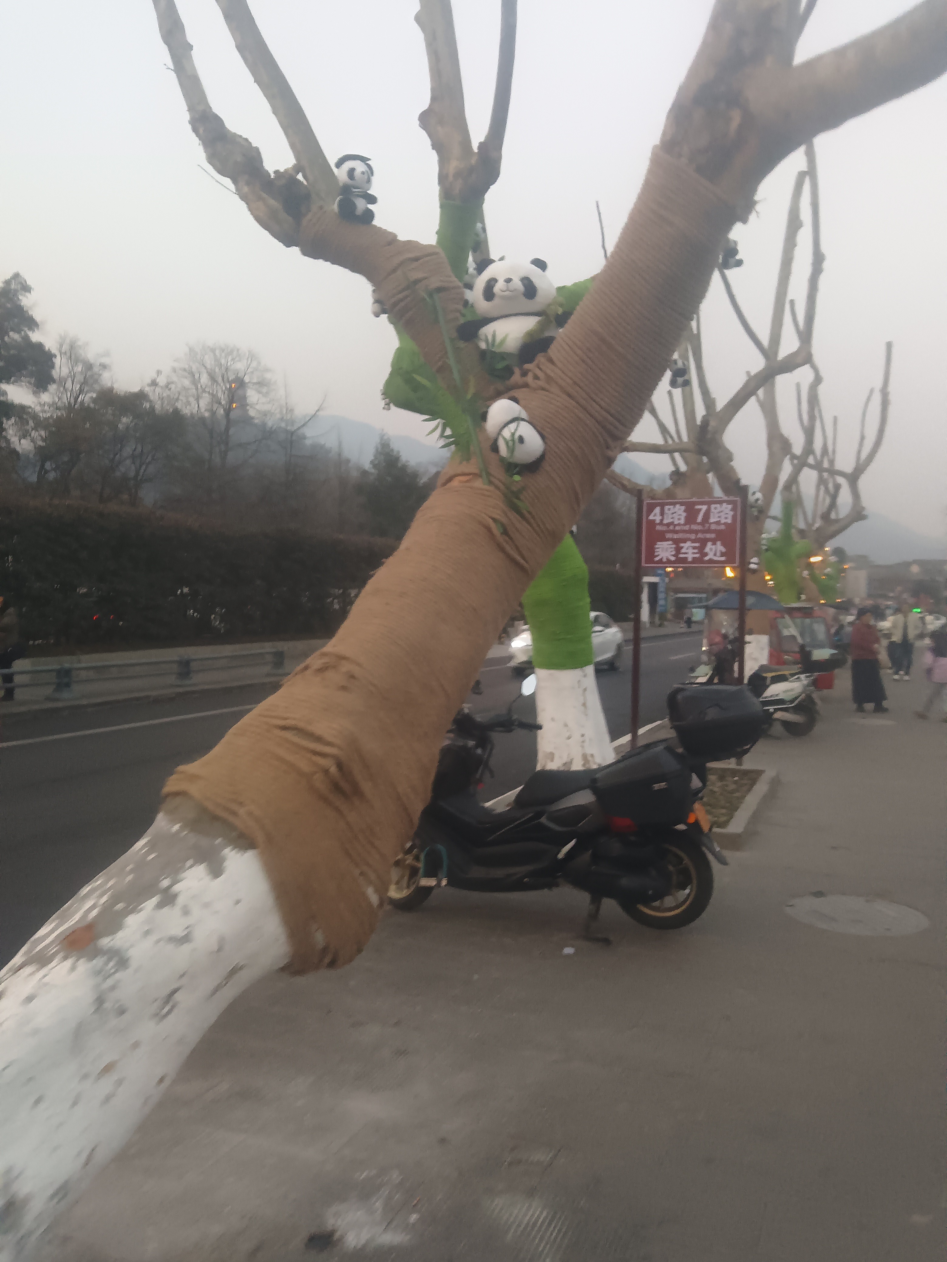 图片附件