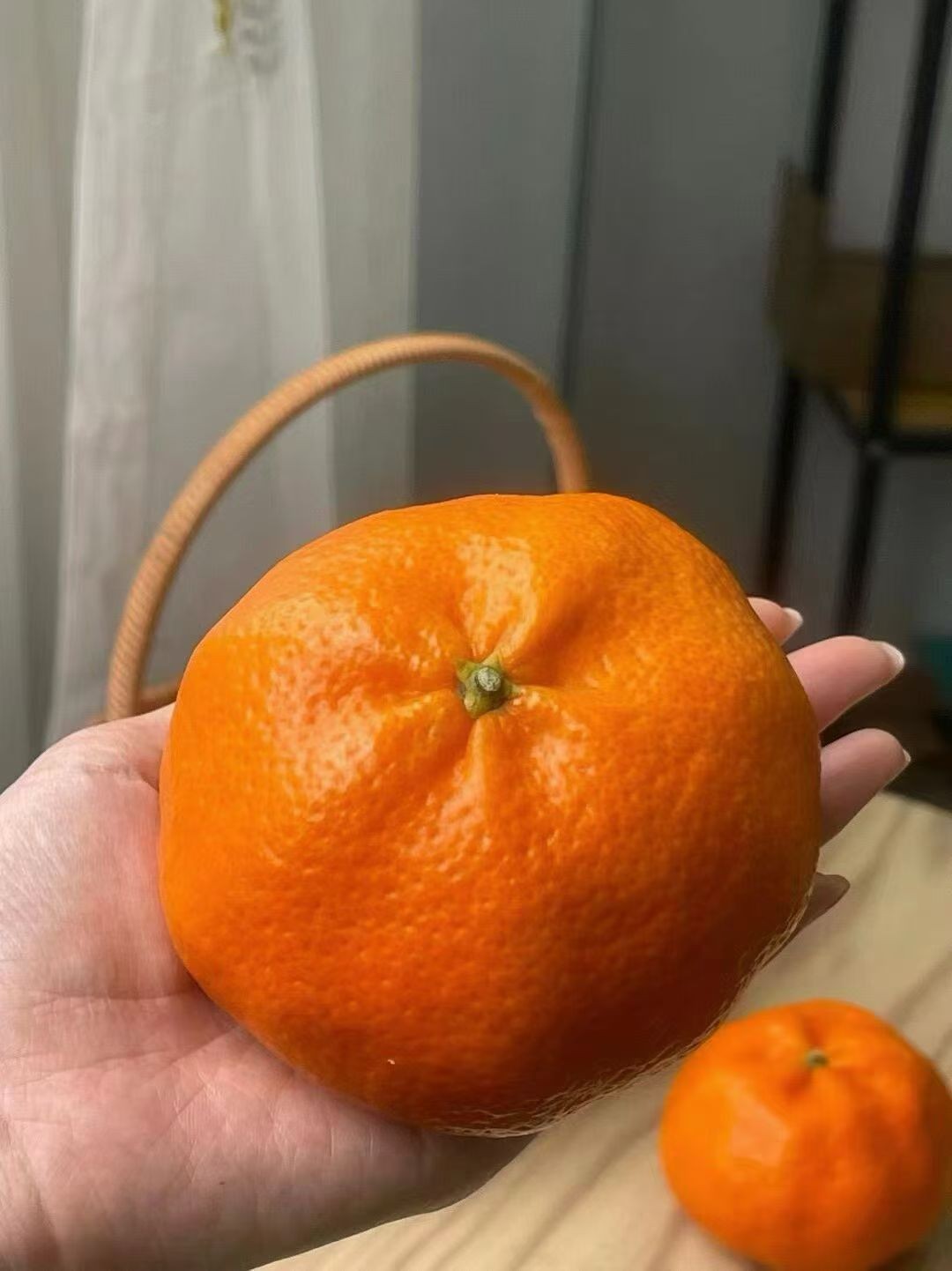 图片附件