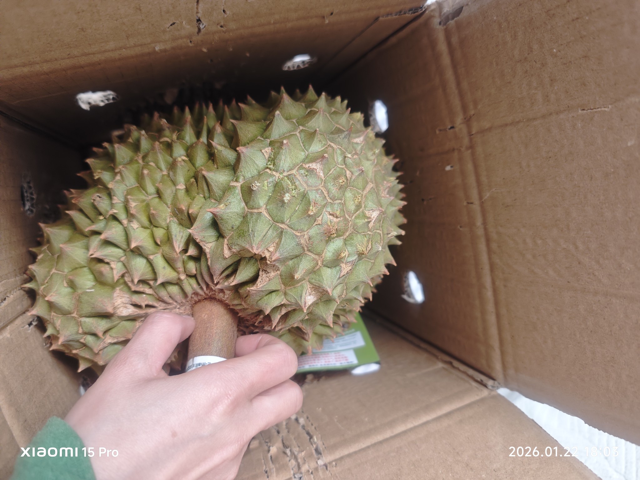 图片附件