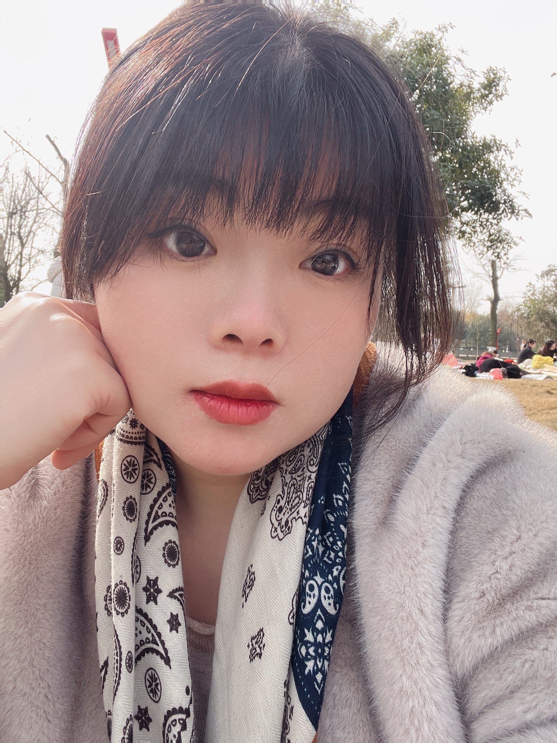 图片附件