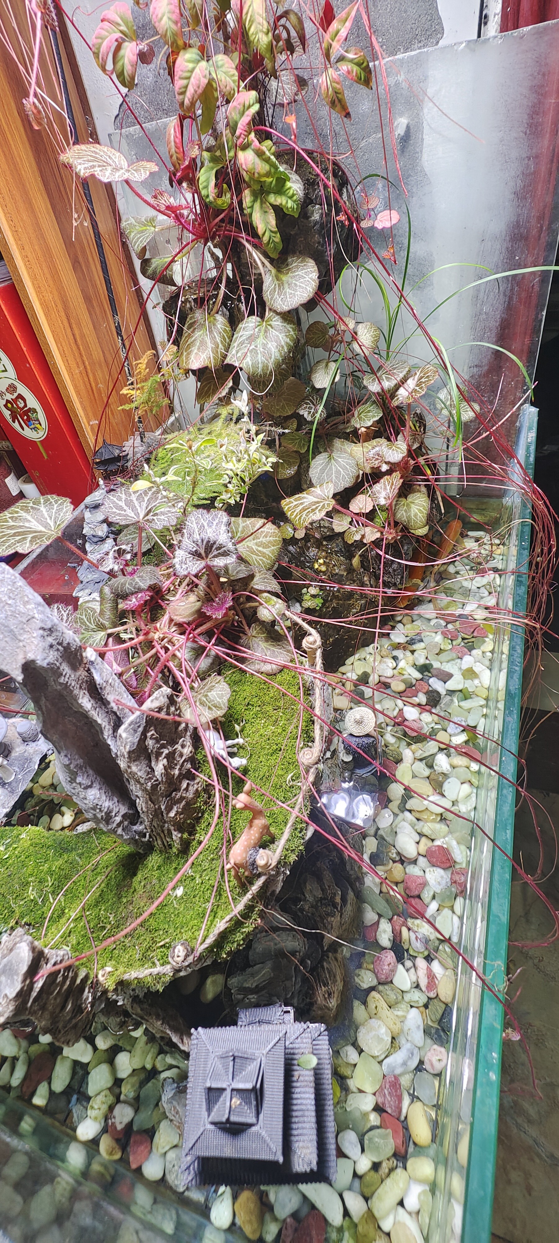 图片附件