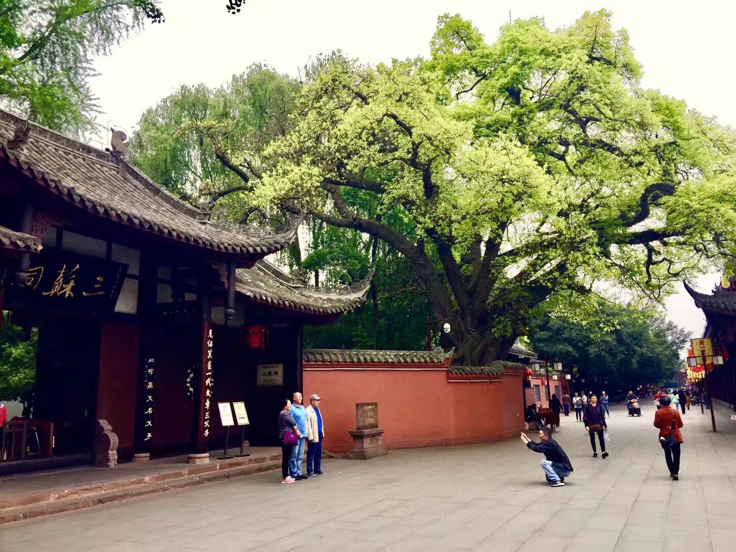 图片附件