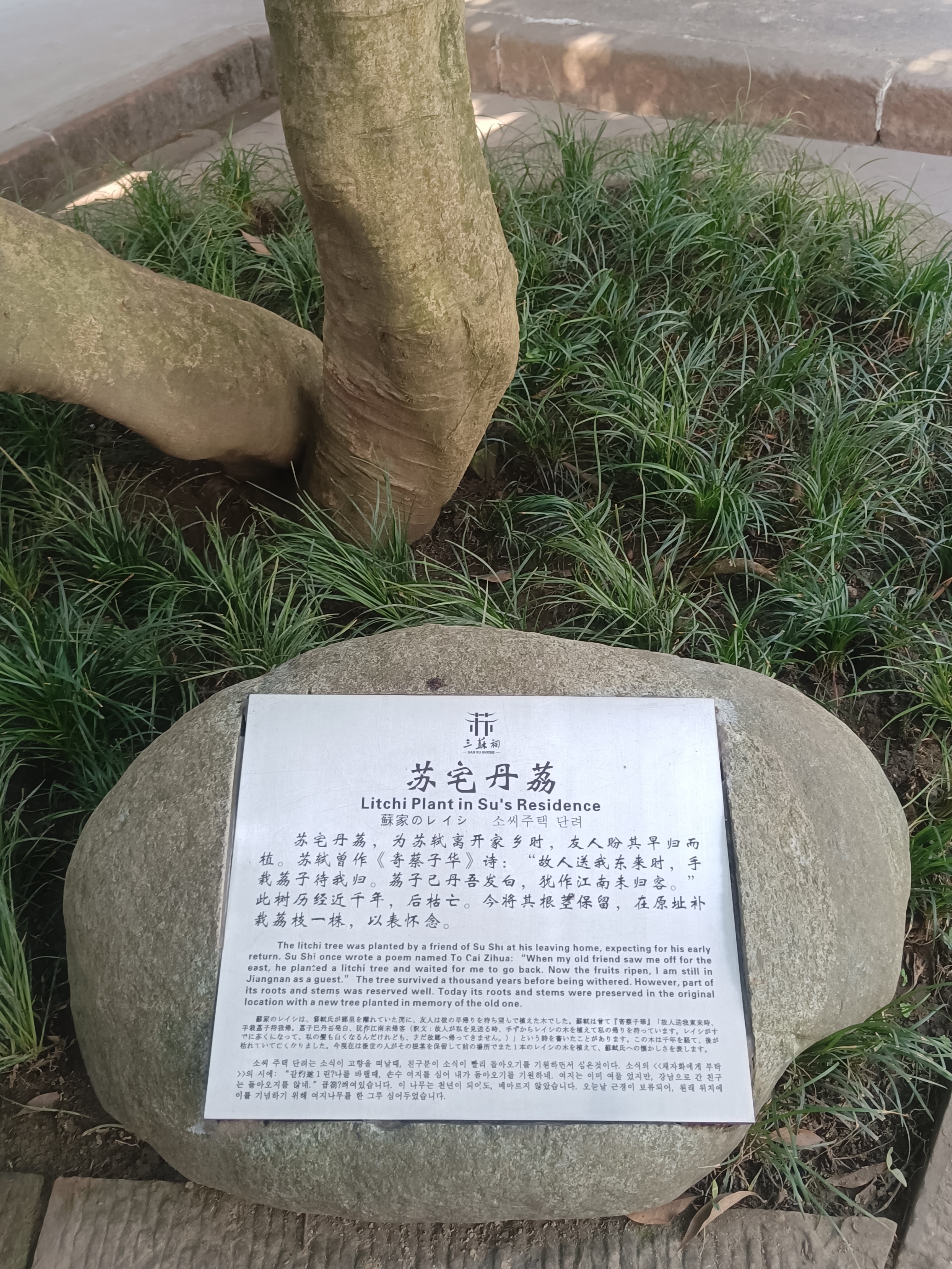 图片附件
