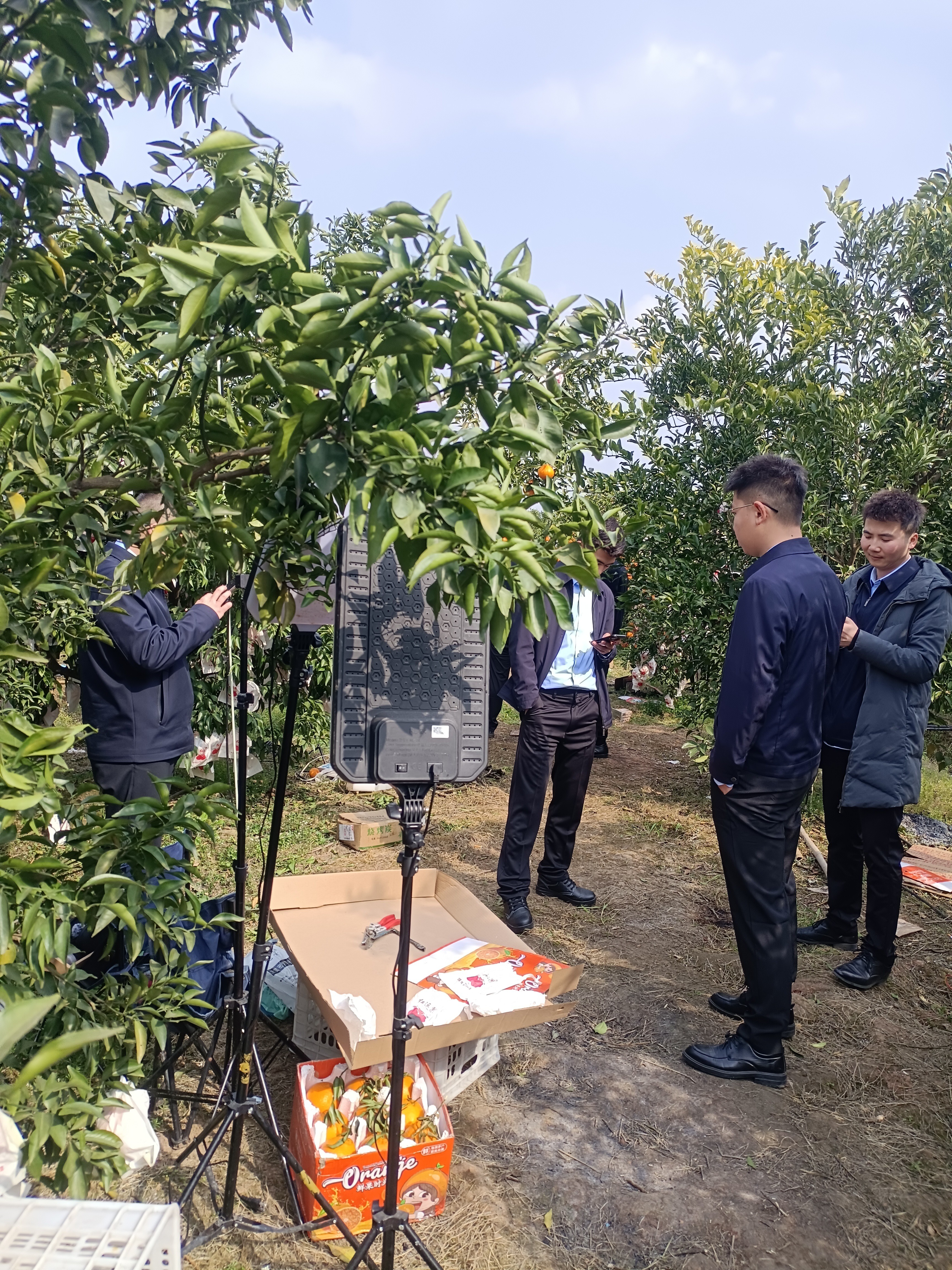 图片附件