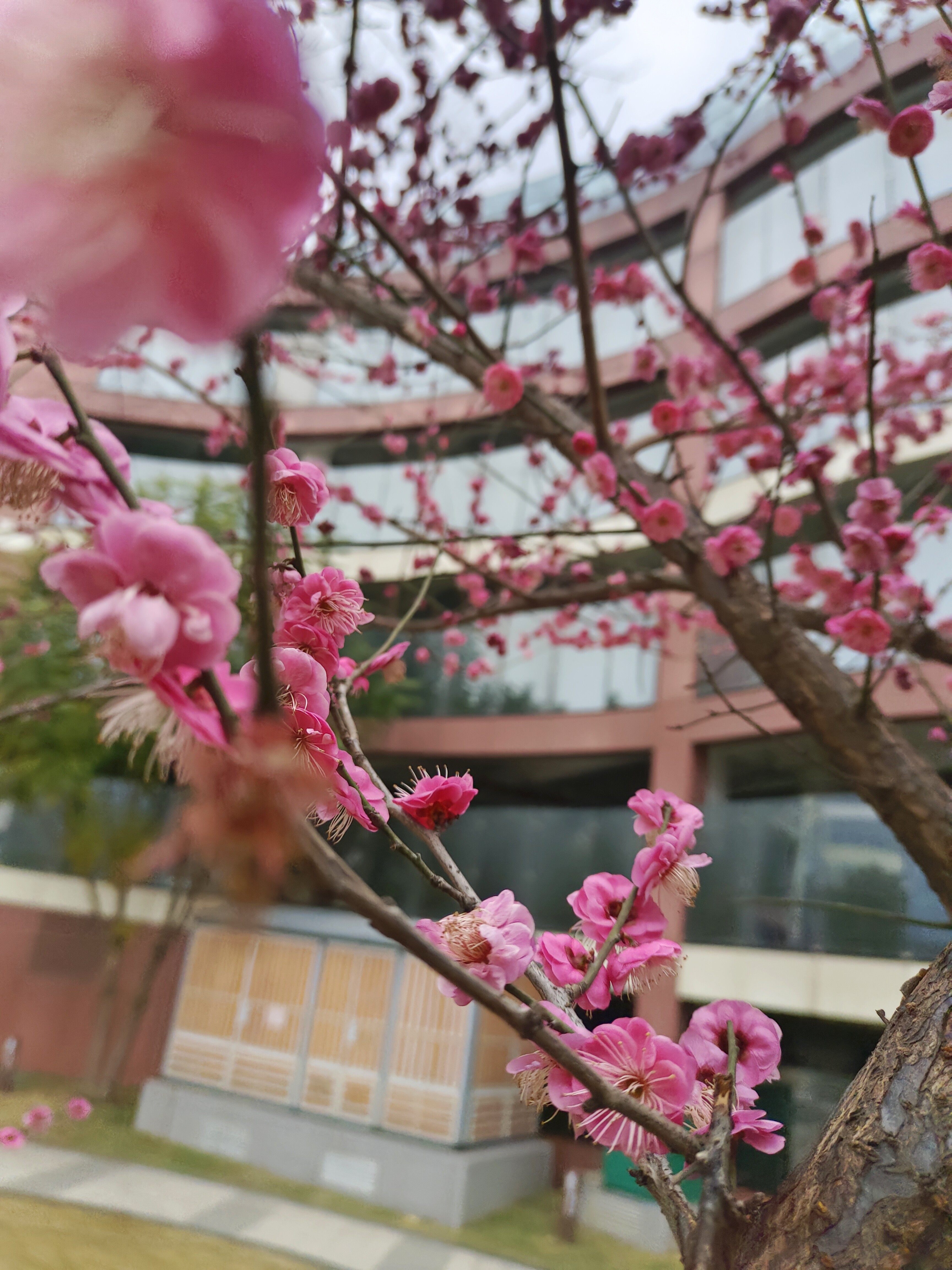 图片附件