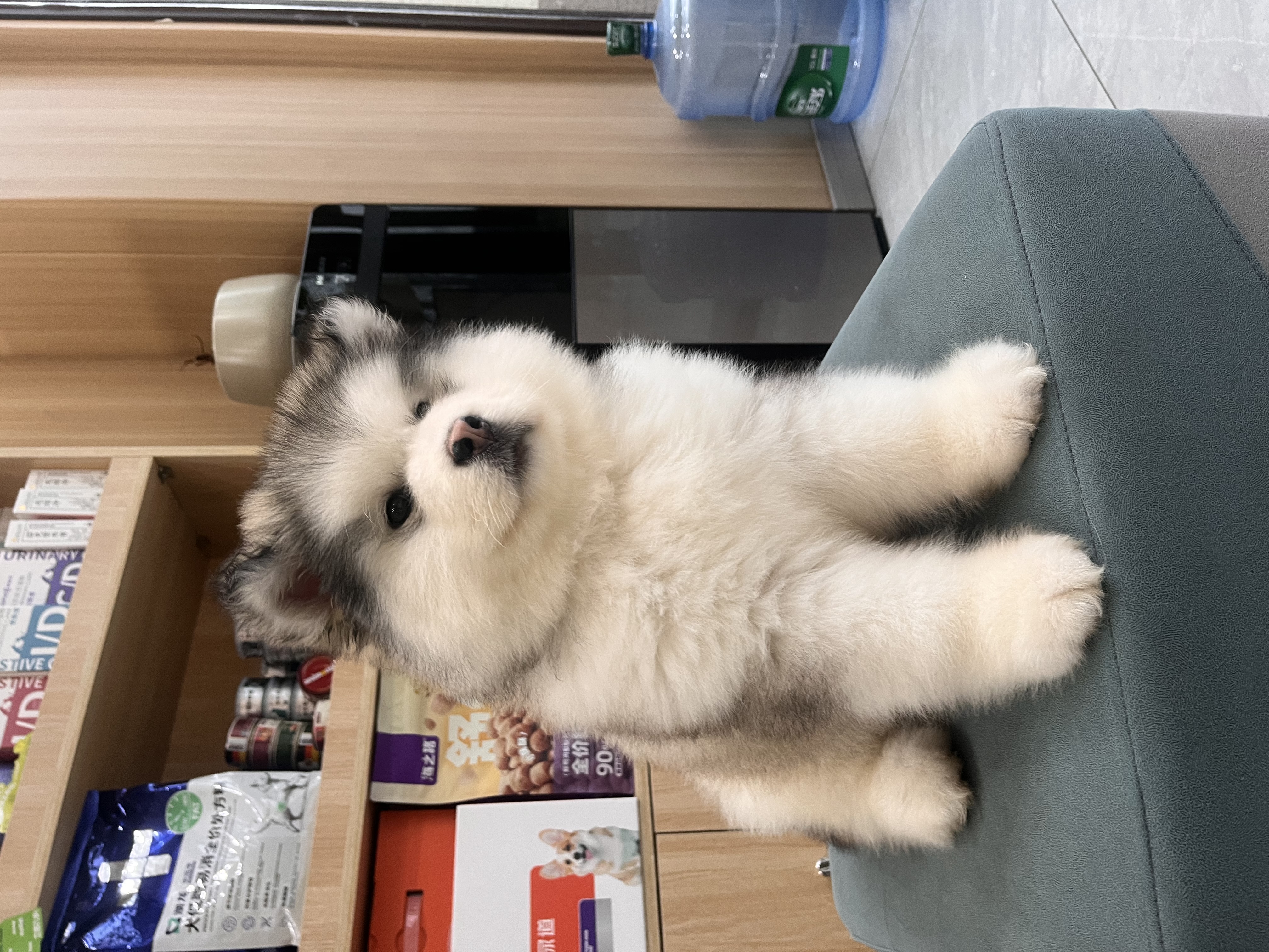 图片附件