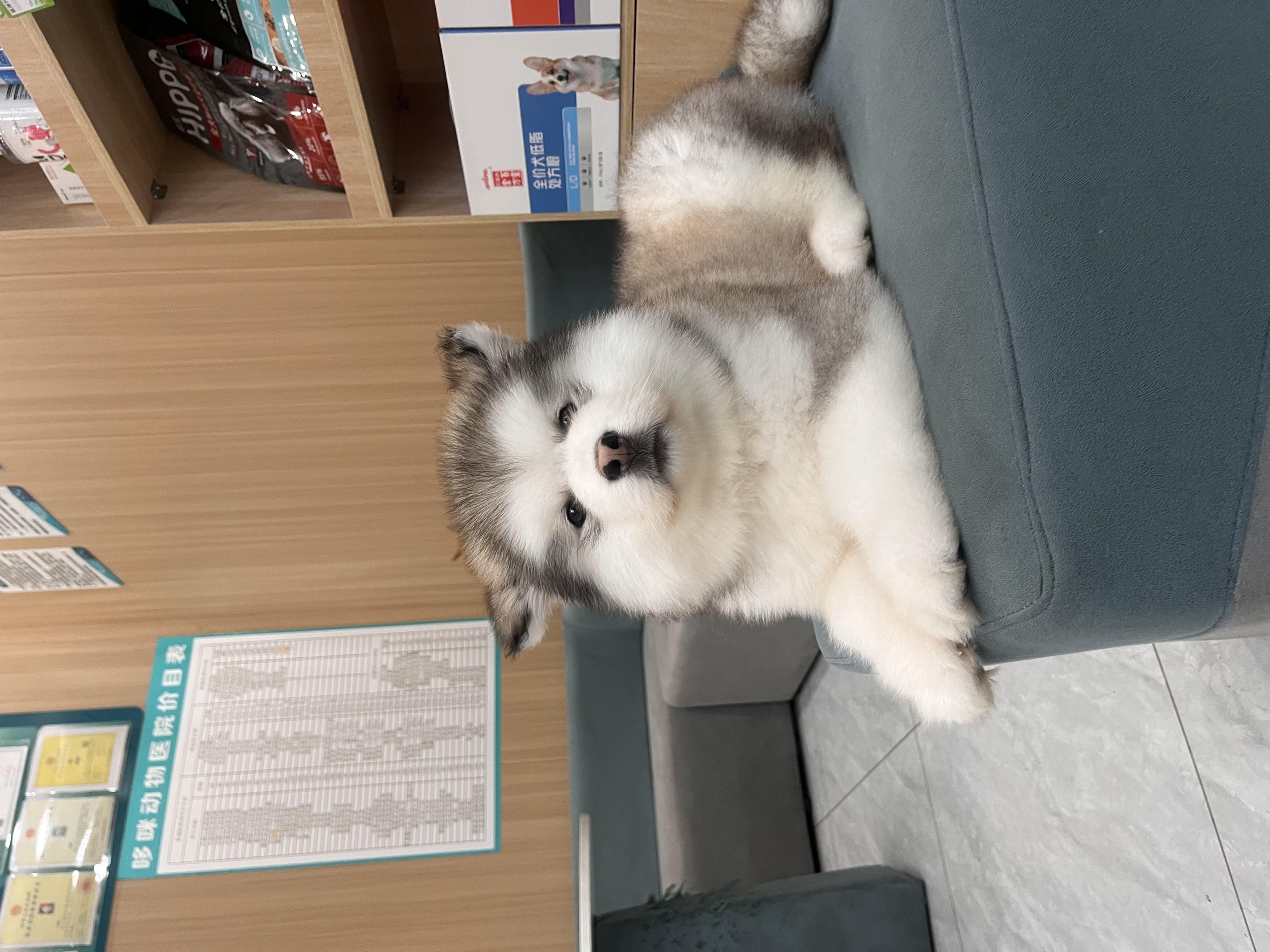 图片附件