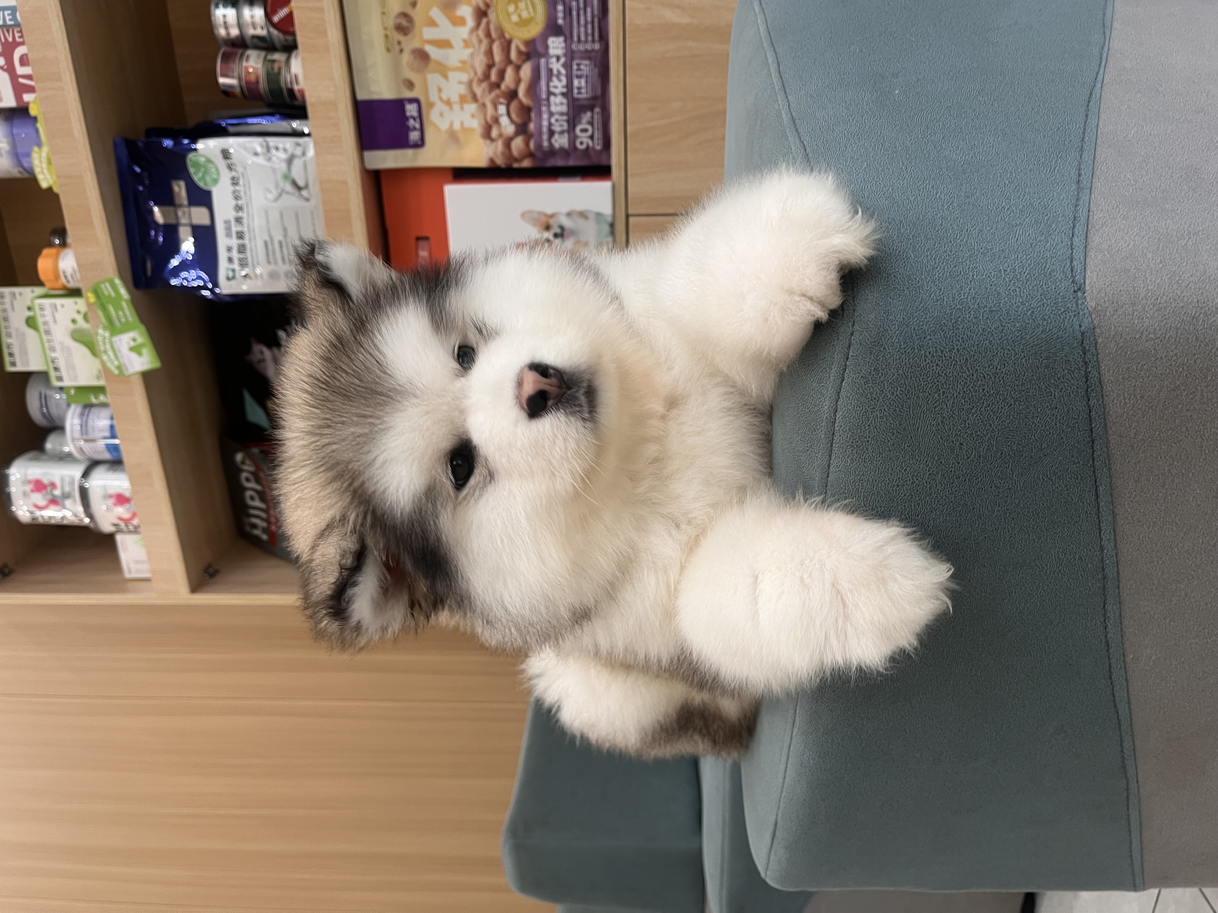 图片附件