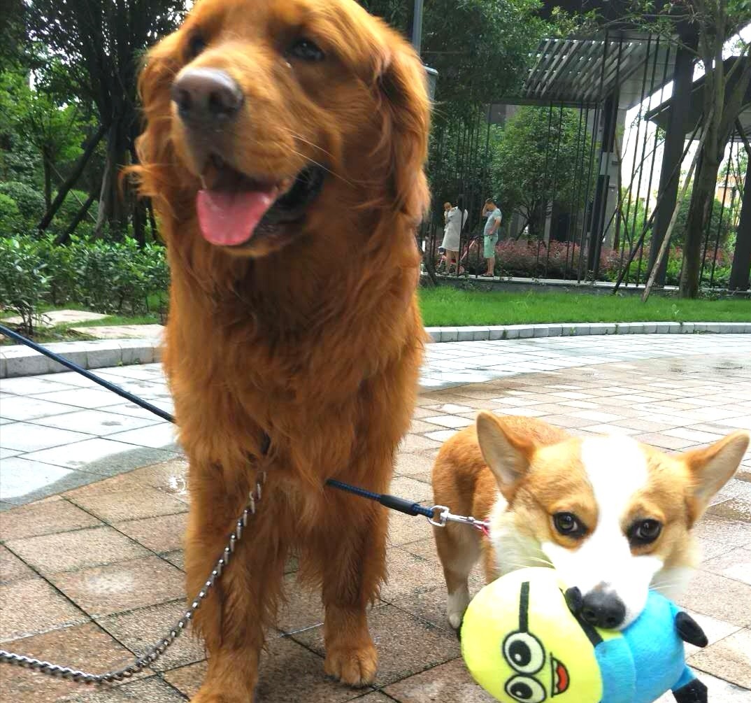 图片附件