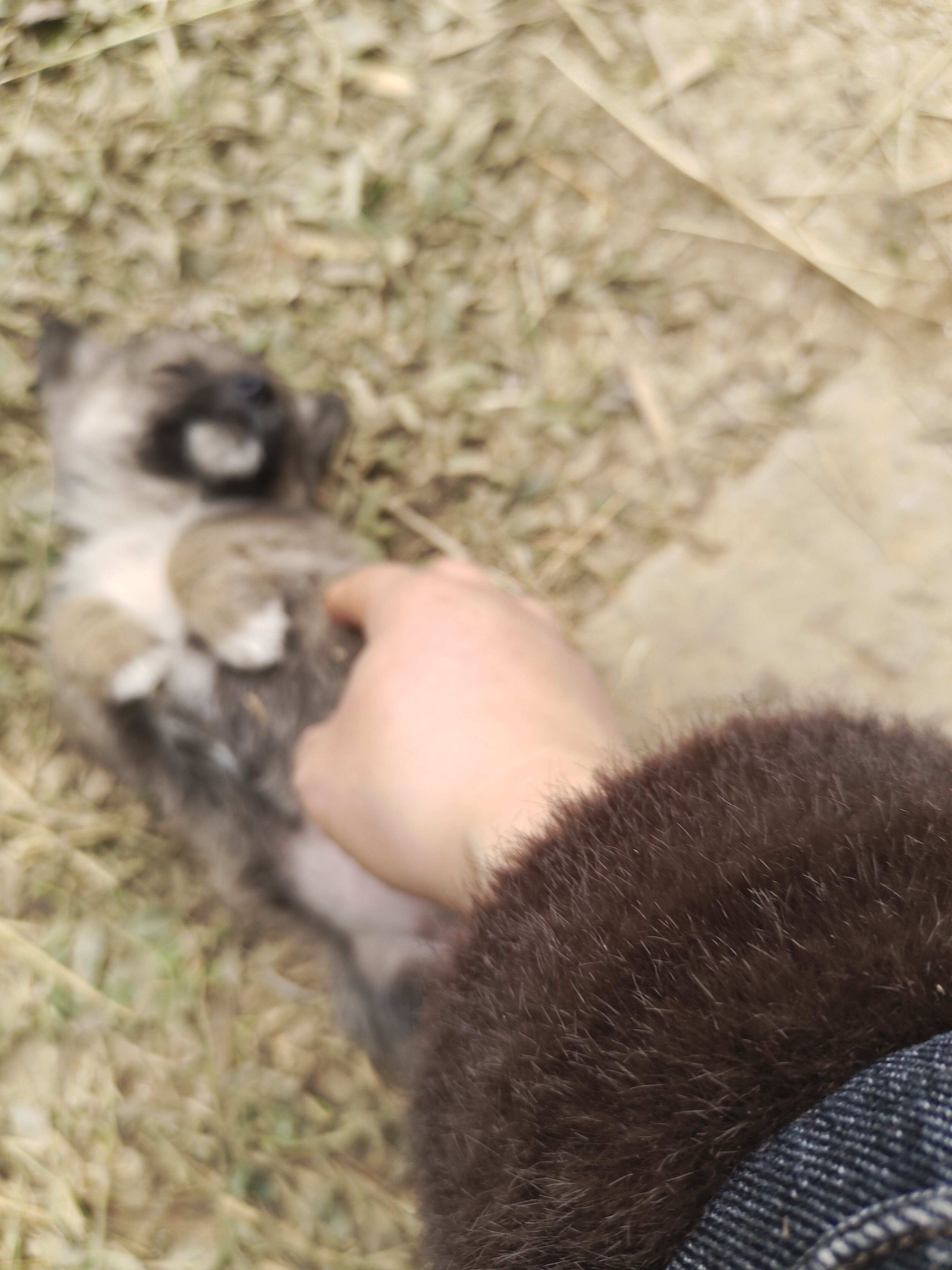 图片附件