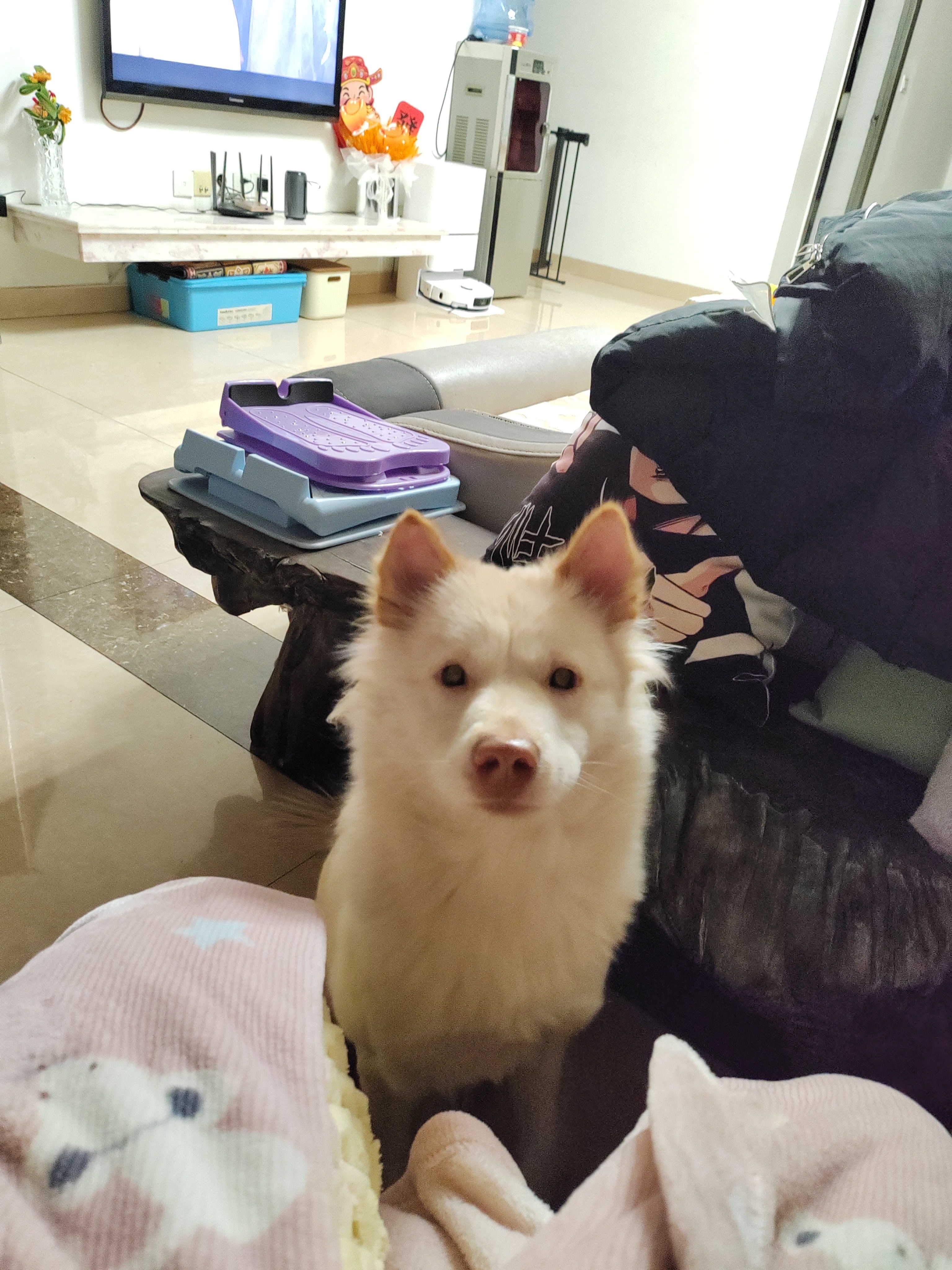 图片附件