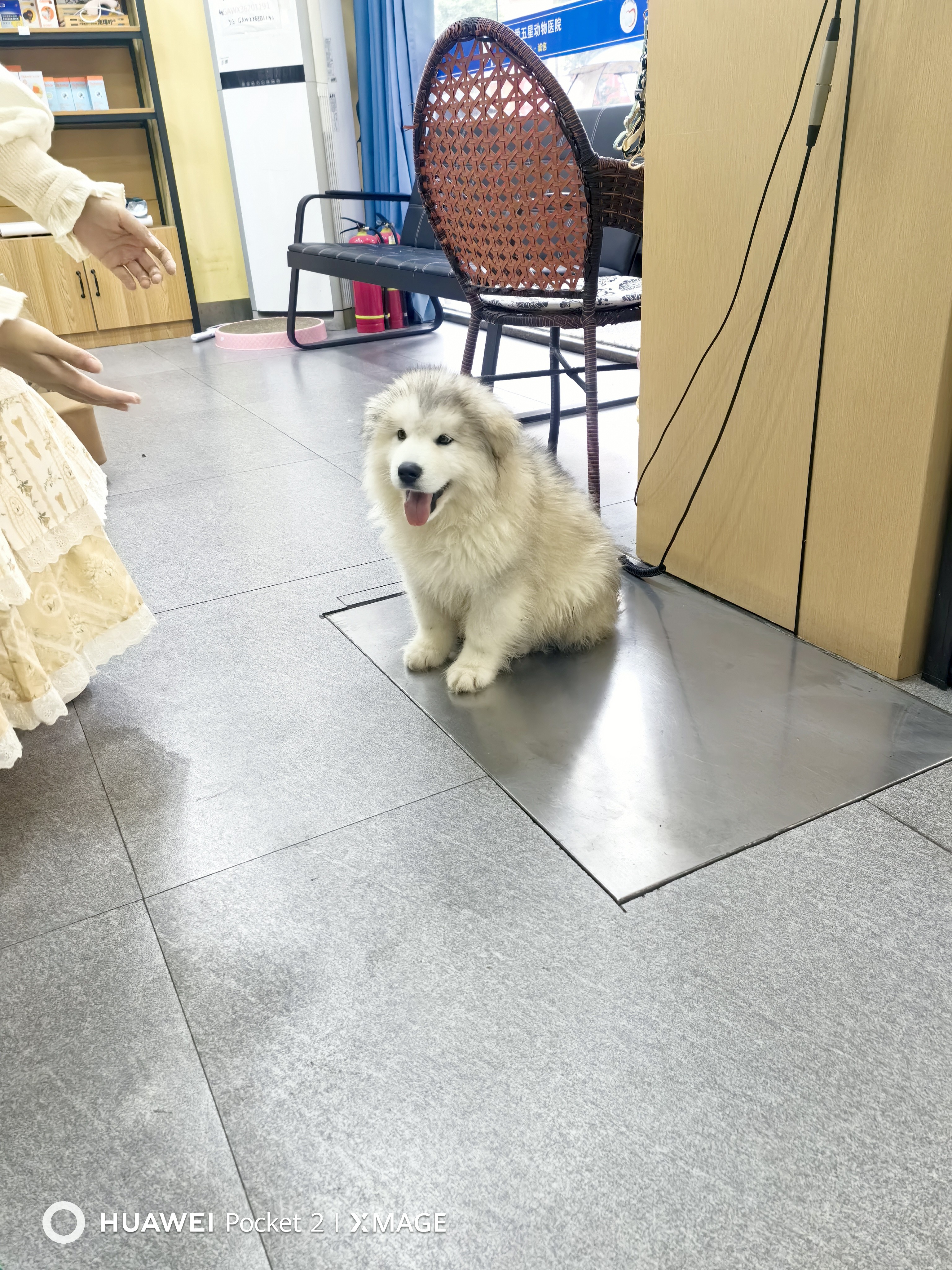 图片附件