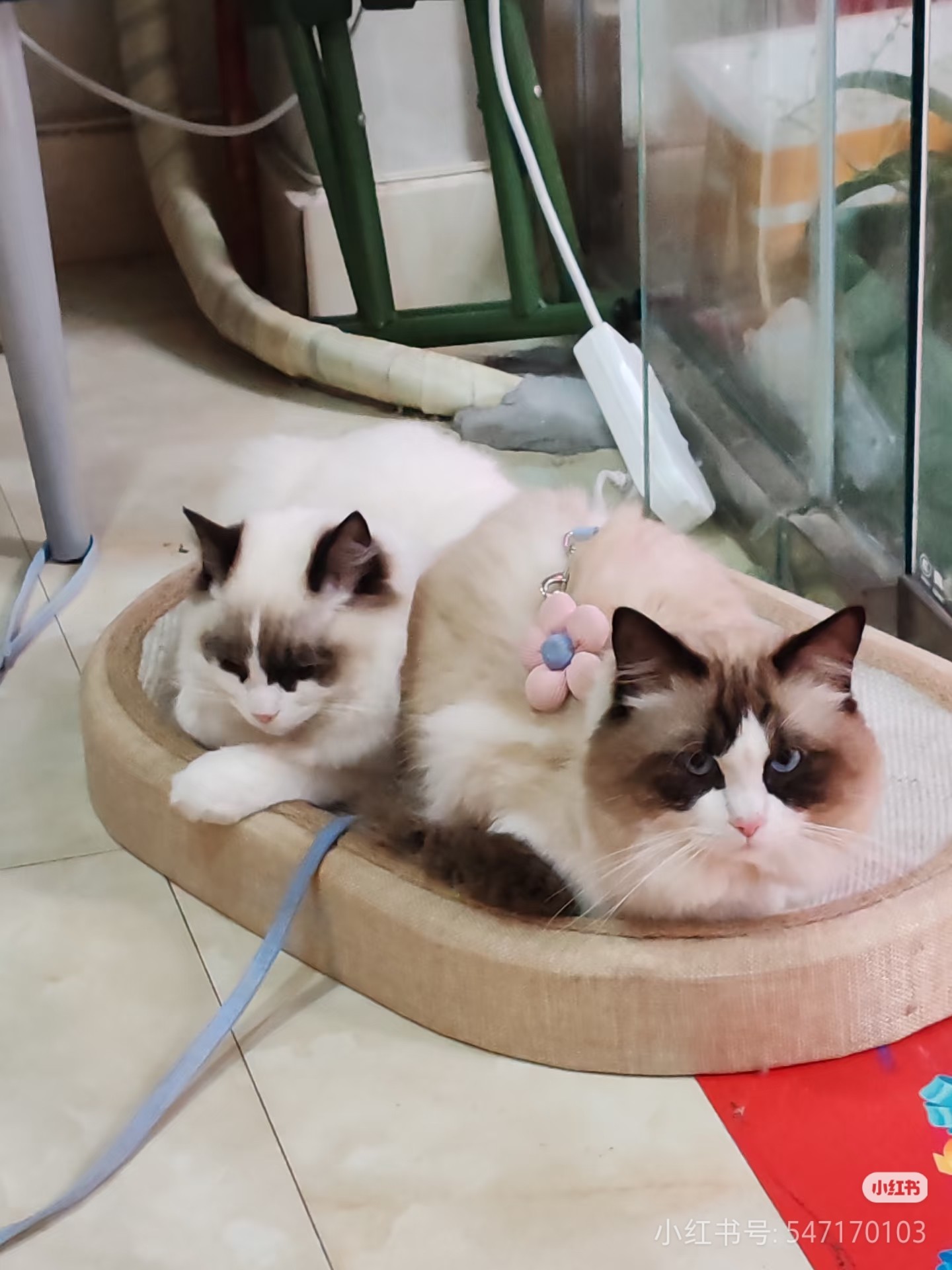 图片附件