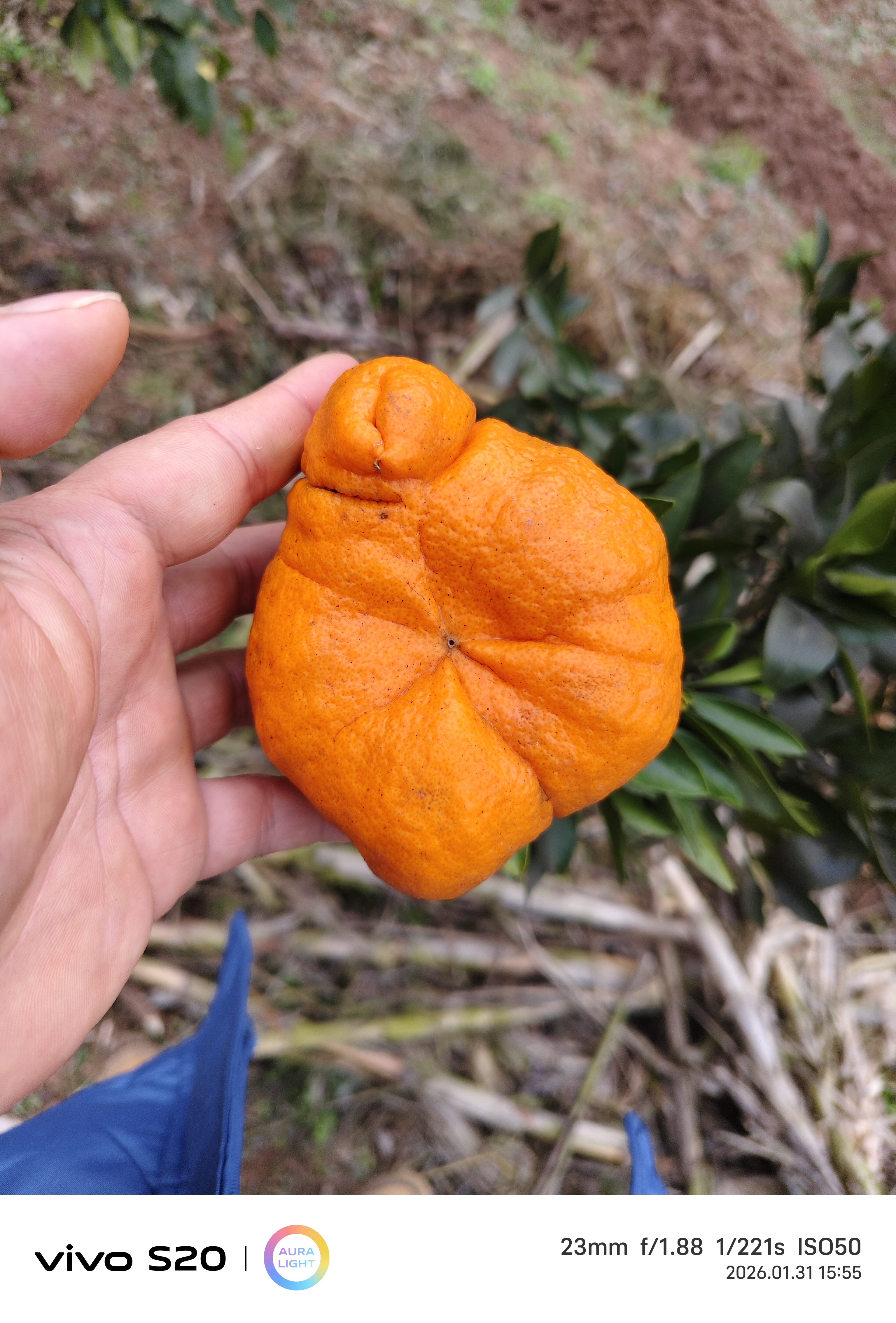 图片附件