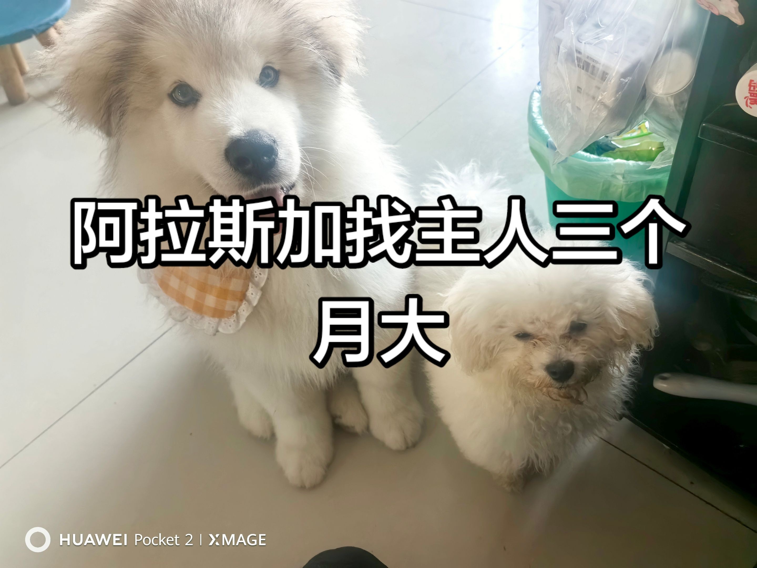 图片附件
