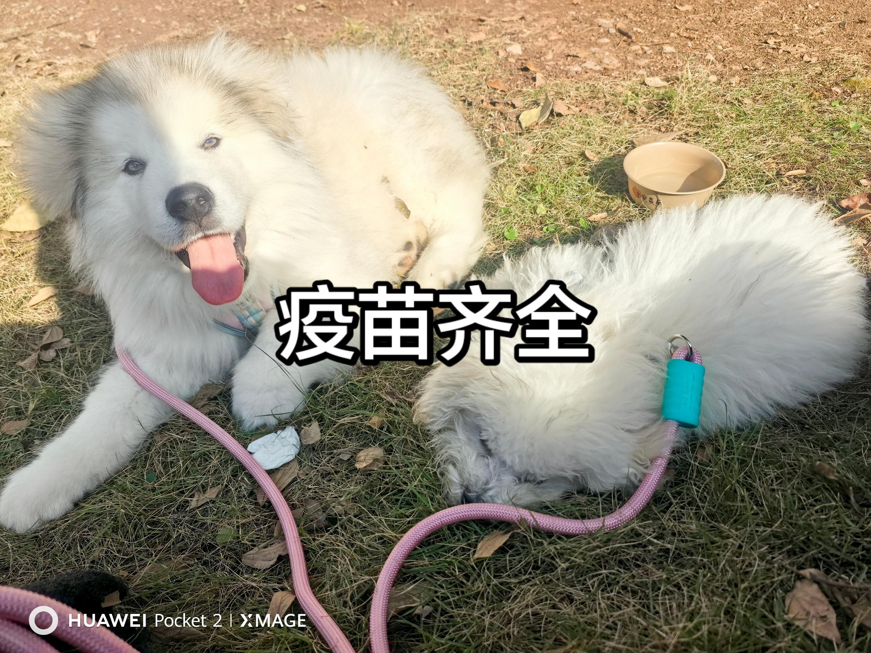 图片附件