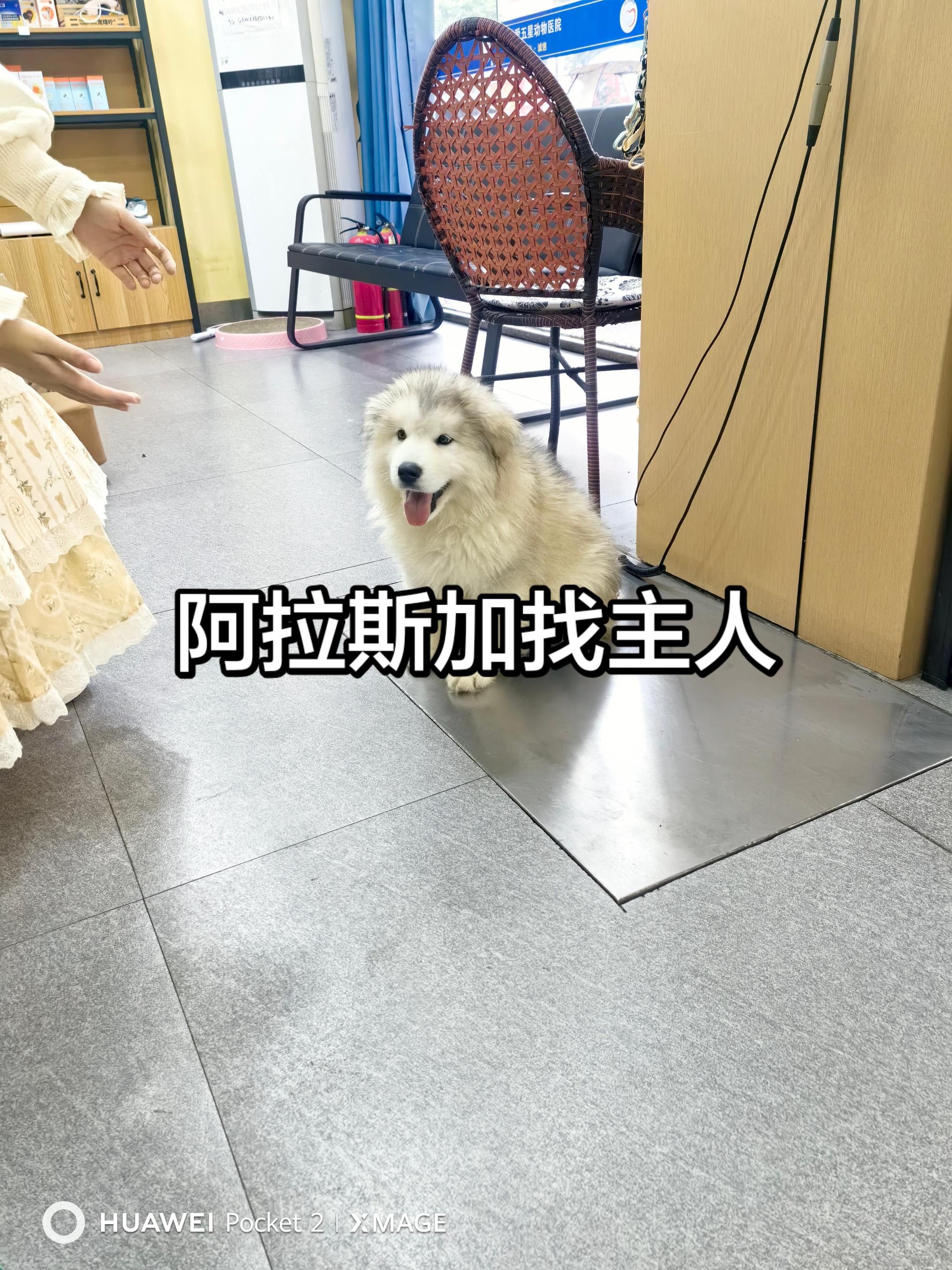 图片附件