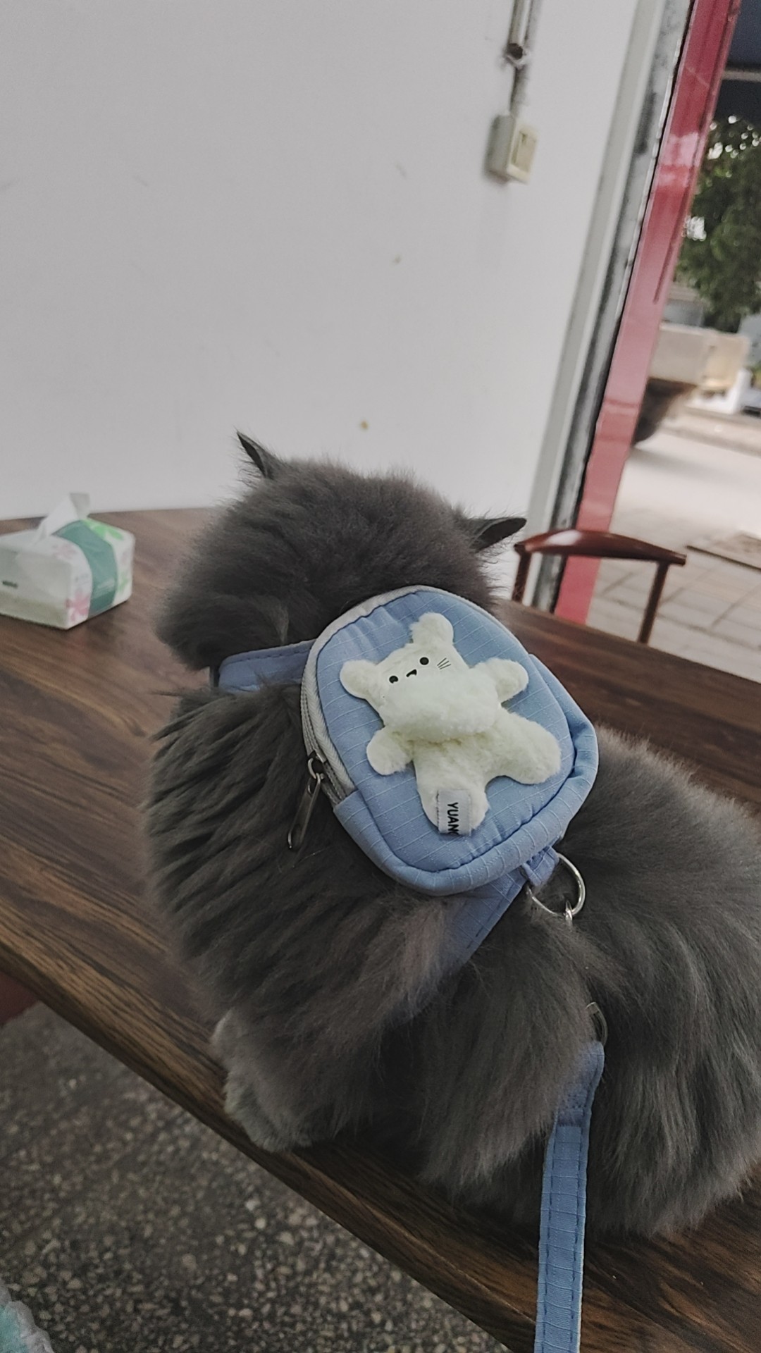 图片附件