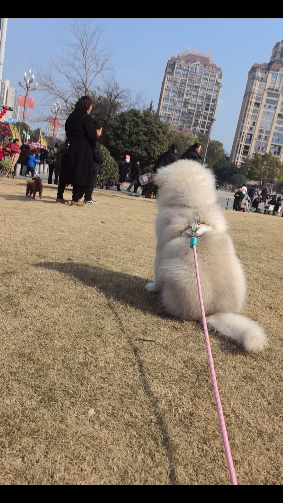 图片附件