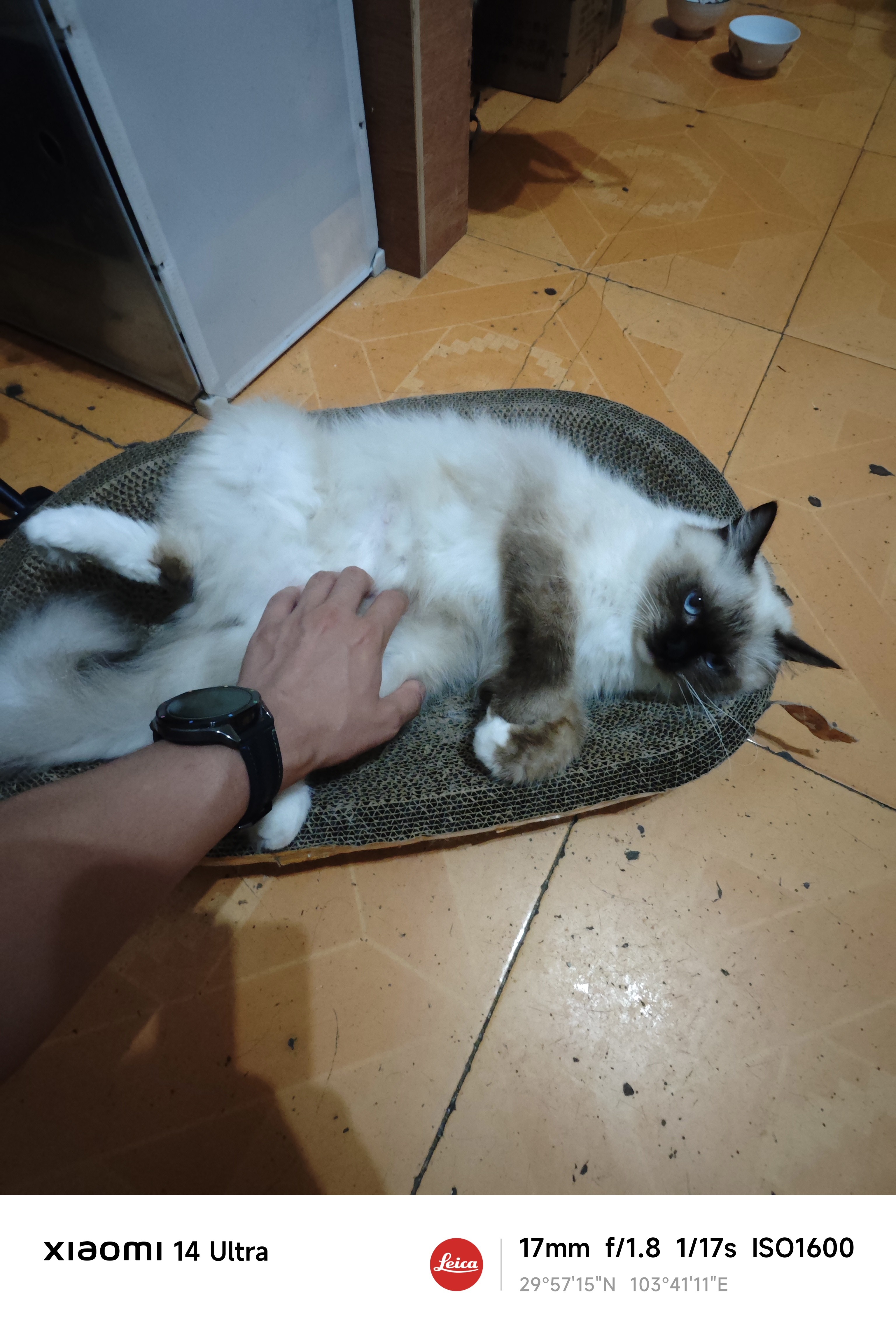 图片附件