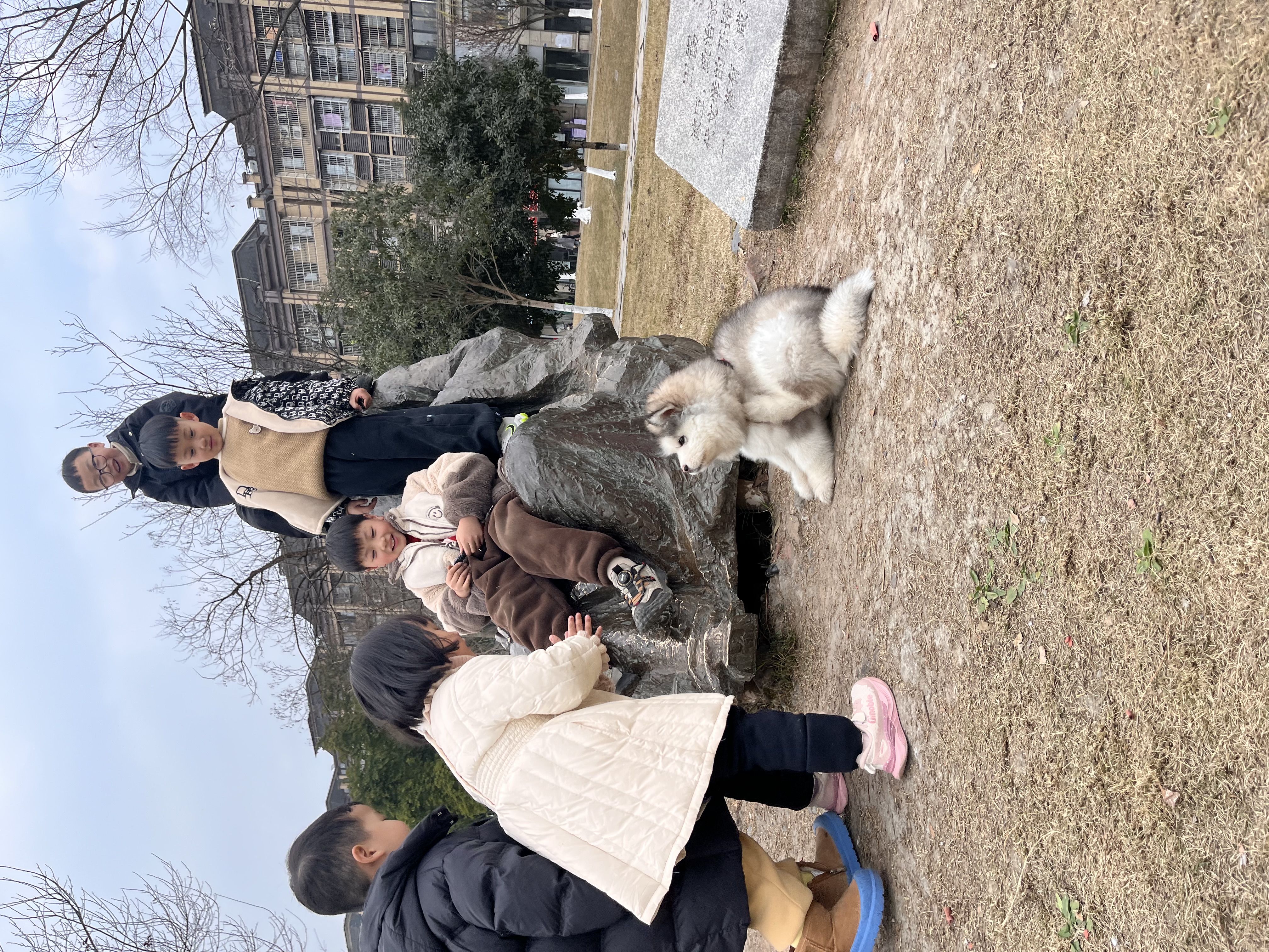 图片附件