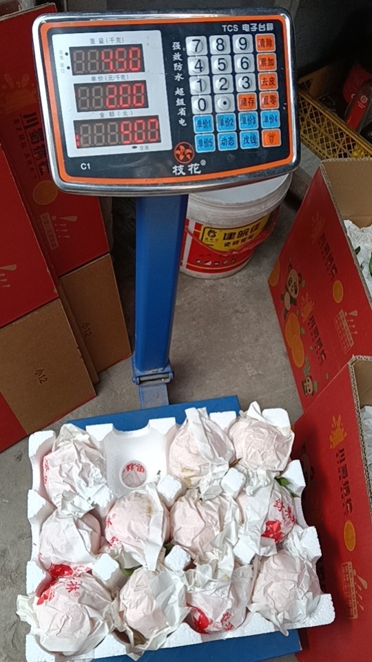图片附件